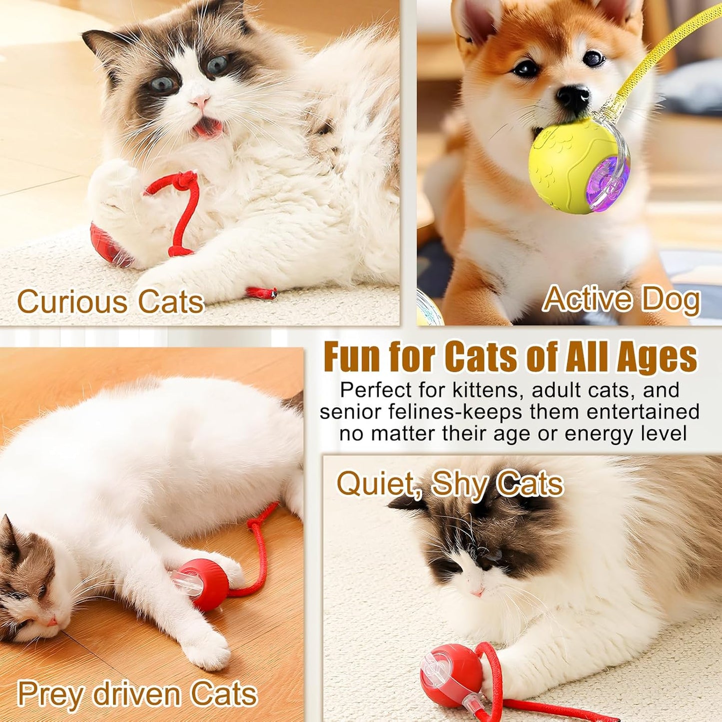 360 Smart Automatic Rolling Pet Ball,Interactive Cat Toys Balls,Automatic Moving Cat Balls,Interactive Cat Toys for Bored Indoor Cats (Red)
