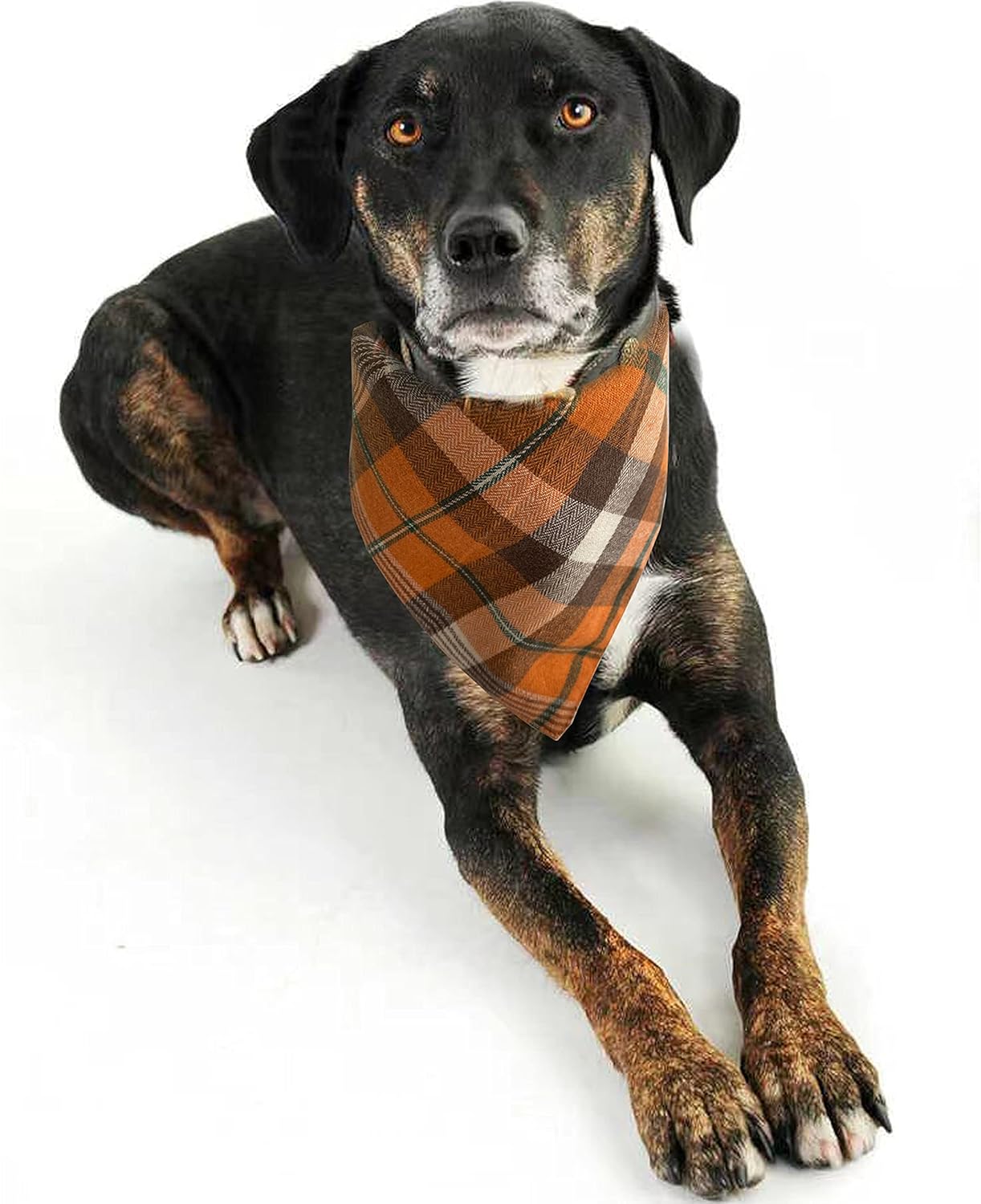 Realeaf Fall Halloween Dog Bandanas 2 Pack, Orange Plaid Pet Scarf for Boy and Girl, Premium Durable Fabric, Holiday Thanksgiving Bandana for Medium and Large Dogs (Large)