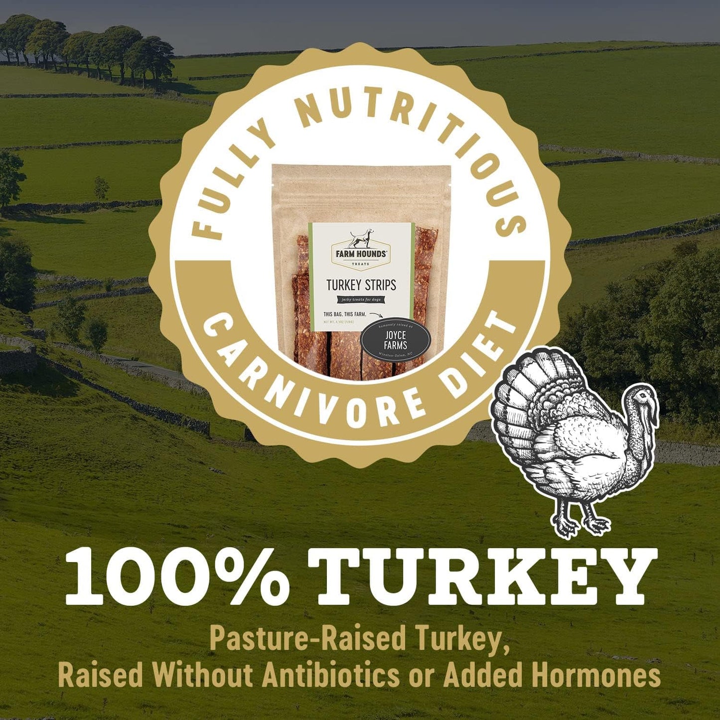 Farm Hounds - Turkey Strips - Premium Natural Jerky for Dogs - 100% Humanely Raised Turkey - Break-to-Size - Great for Training & Treats - No Added Fillers - Made in USA - 1 Pack