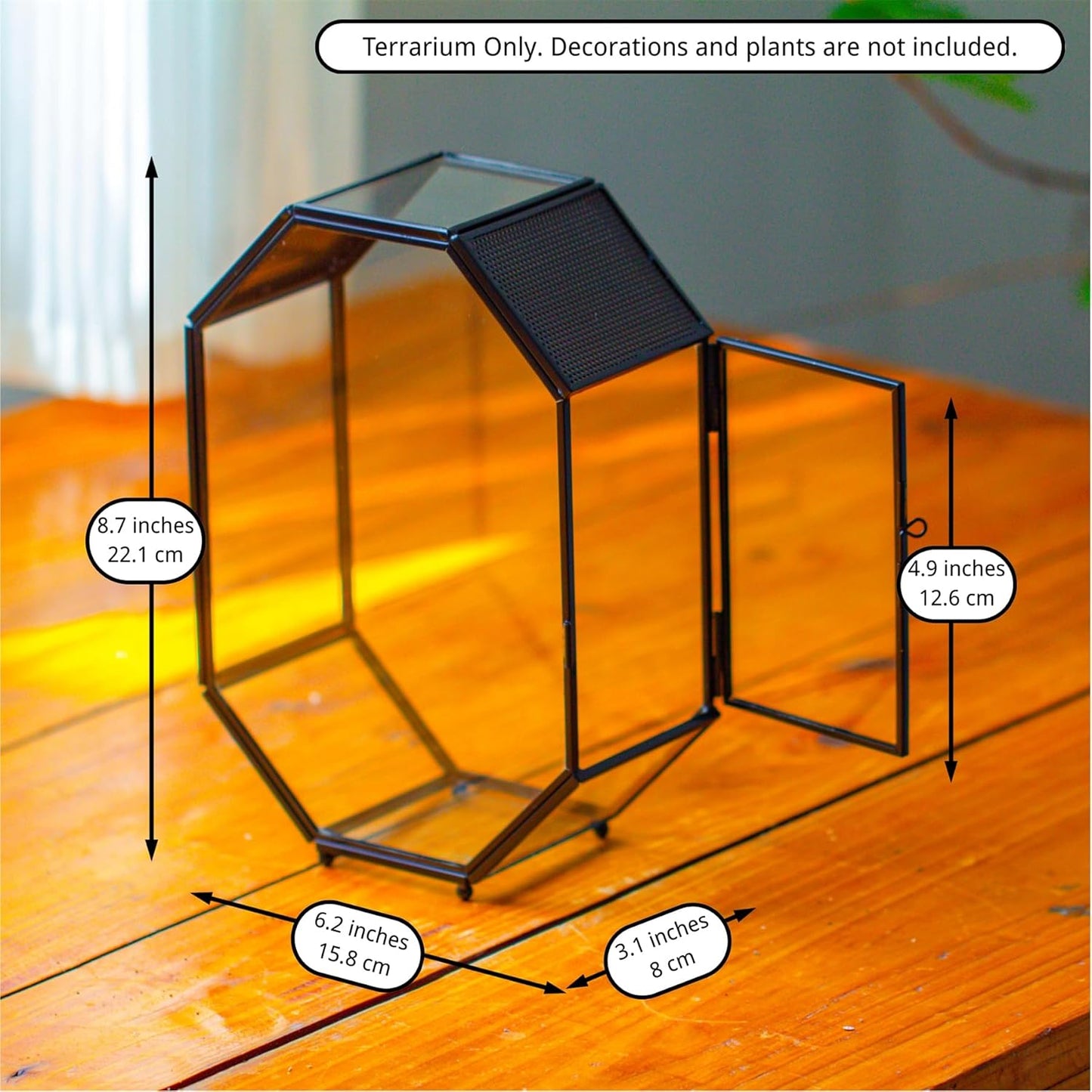 NCYP Glass Enclosure Terrarium with Mesh and Door for Jumping Spiders, Snails, Insects - Octagon Shape Small Succulents Terrarium 6.2 x 3.1 x 8.7 inches, Black Tabletop Decor (Plants Not Include)