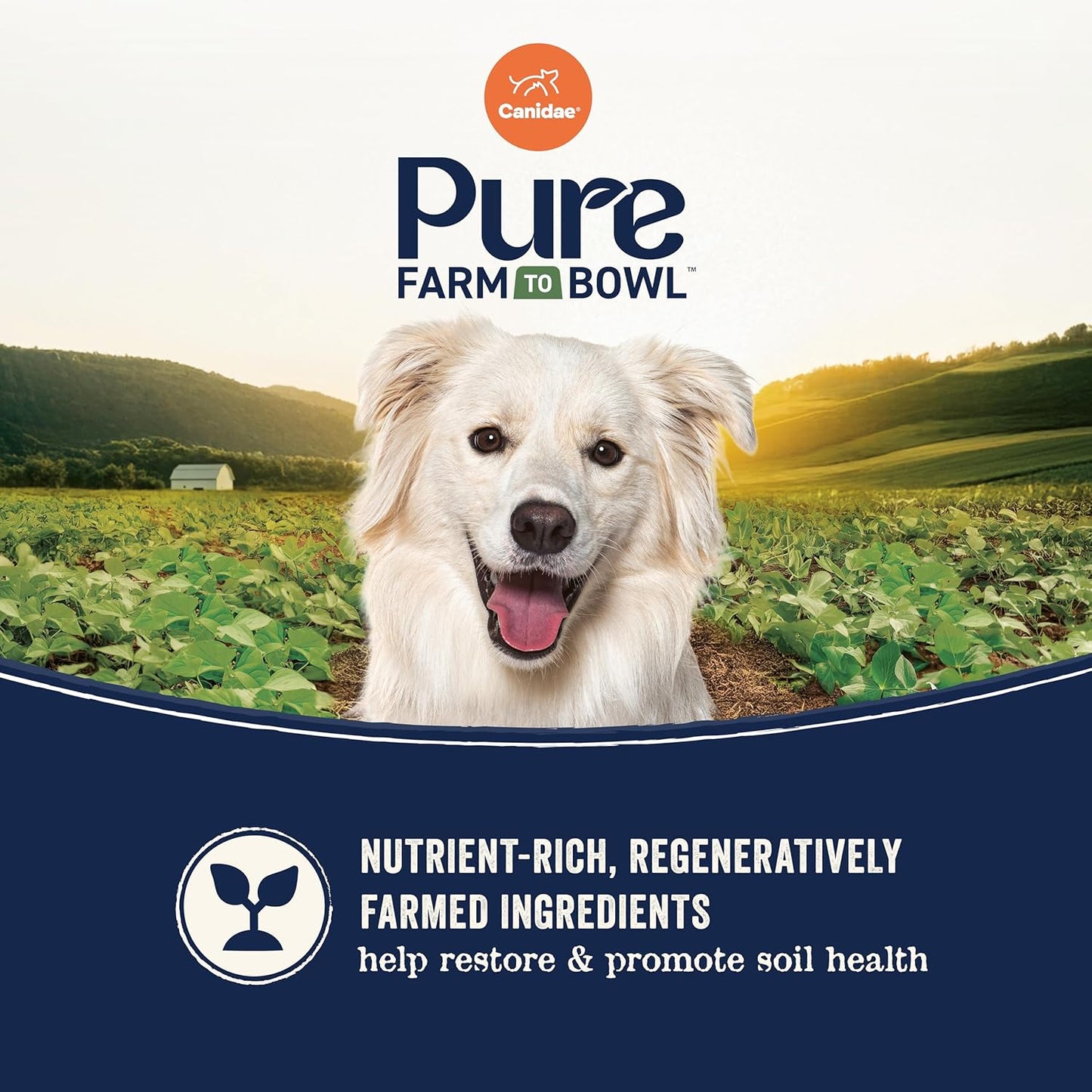 CANIDAE Pure Farm to Bowl Wild-Caught Salmon & Barley, Adult, Dry Dog Food, 4lb