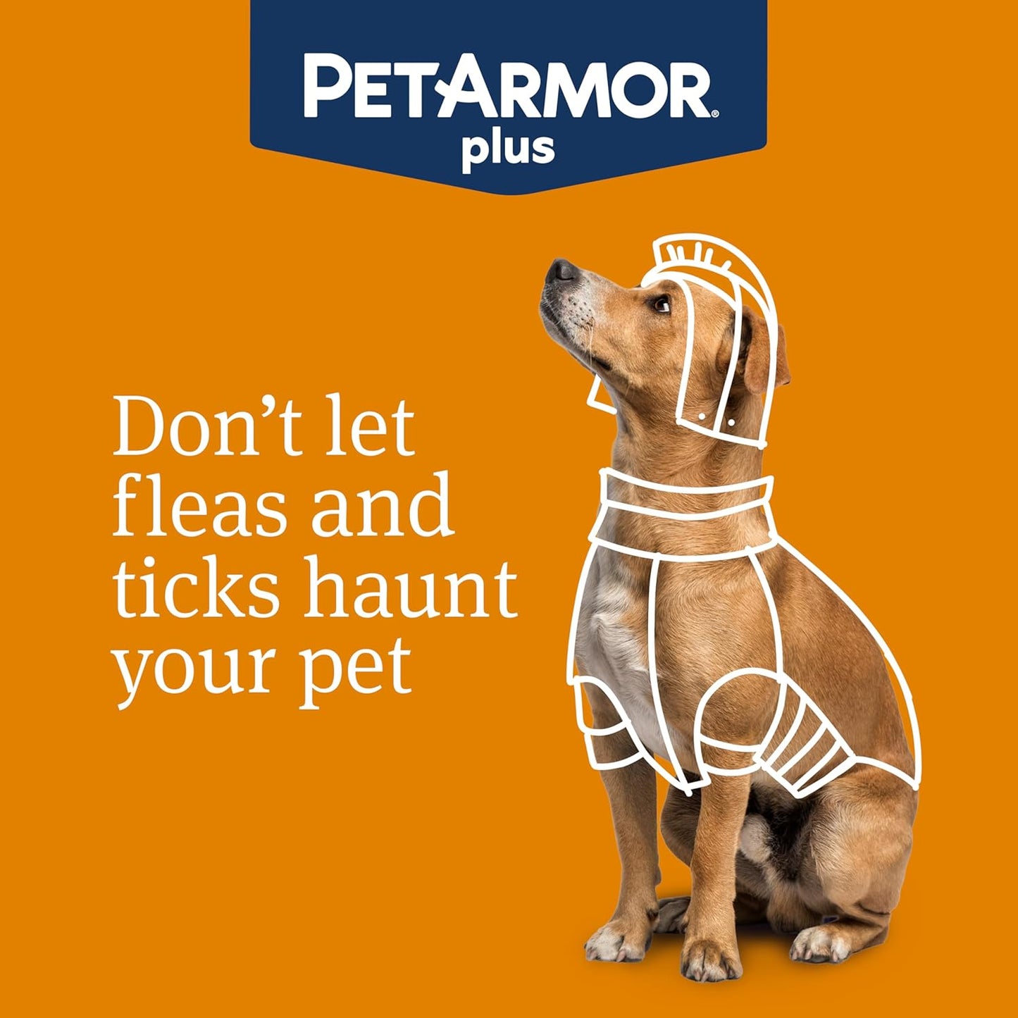 PetArmor Plus for Dogs Flea and Tick Prevention for Dogs, Long-Lasting & Fast-Acting Topical Dog Flea Treatment, 6 Count, small