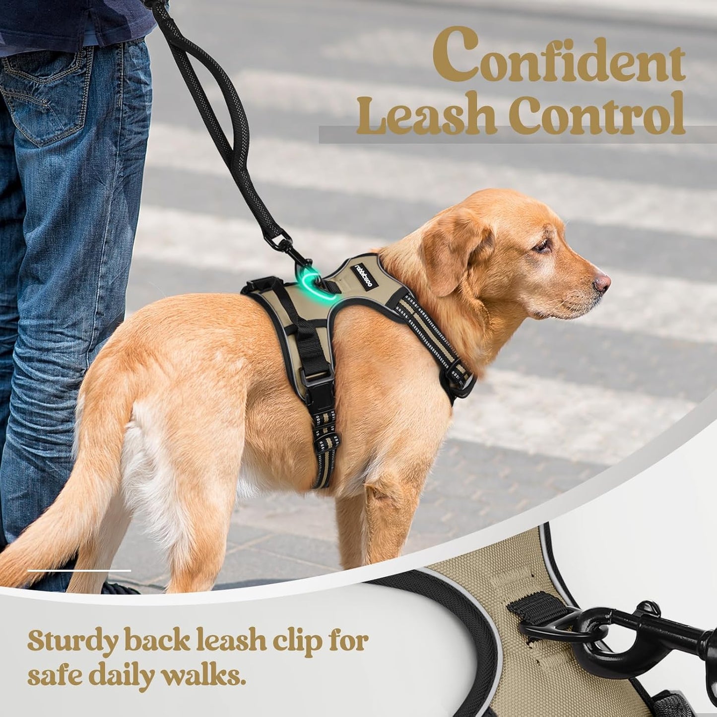 rabbitgoo Dog Harness No Pull with 2 Leash Clips, Adjustable Soft Padded, Reflective Oxford No Choke Pet Vest with Easy Control Handle for Small Dogs, Beige, S
