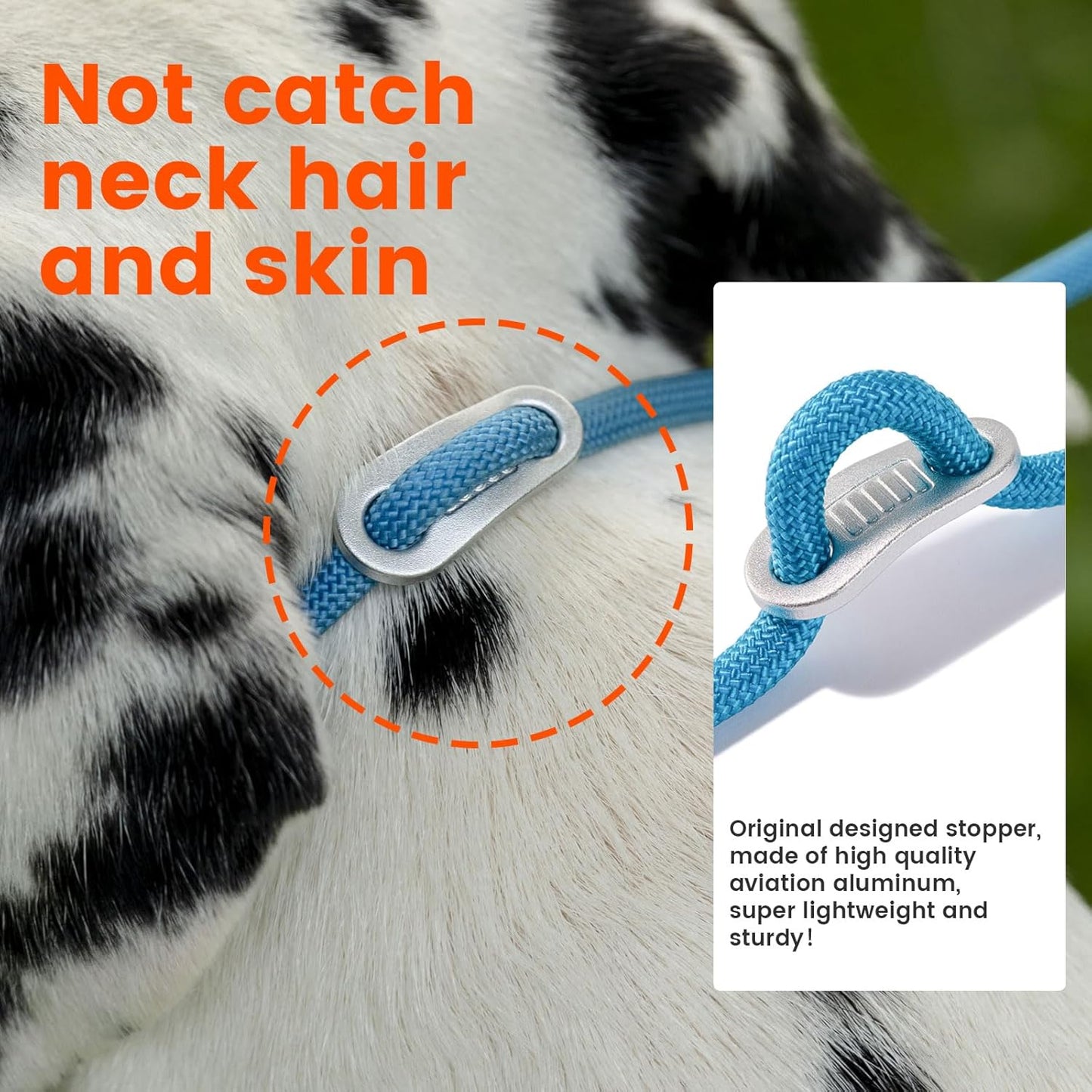 Howgo Double Slip Leash Slip Lead with Two Handles| Dual Dog Slip Lead for 2 Dogs,360° Swivel No Tangle | Dog Training Collar | Double Clip Leash Coupler and Splitter (MintGreen, 6FT)