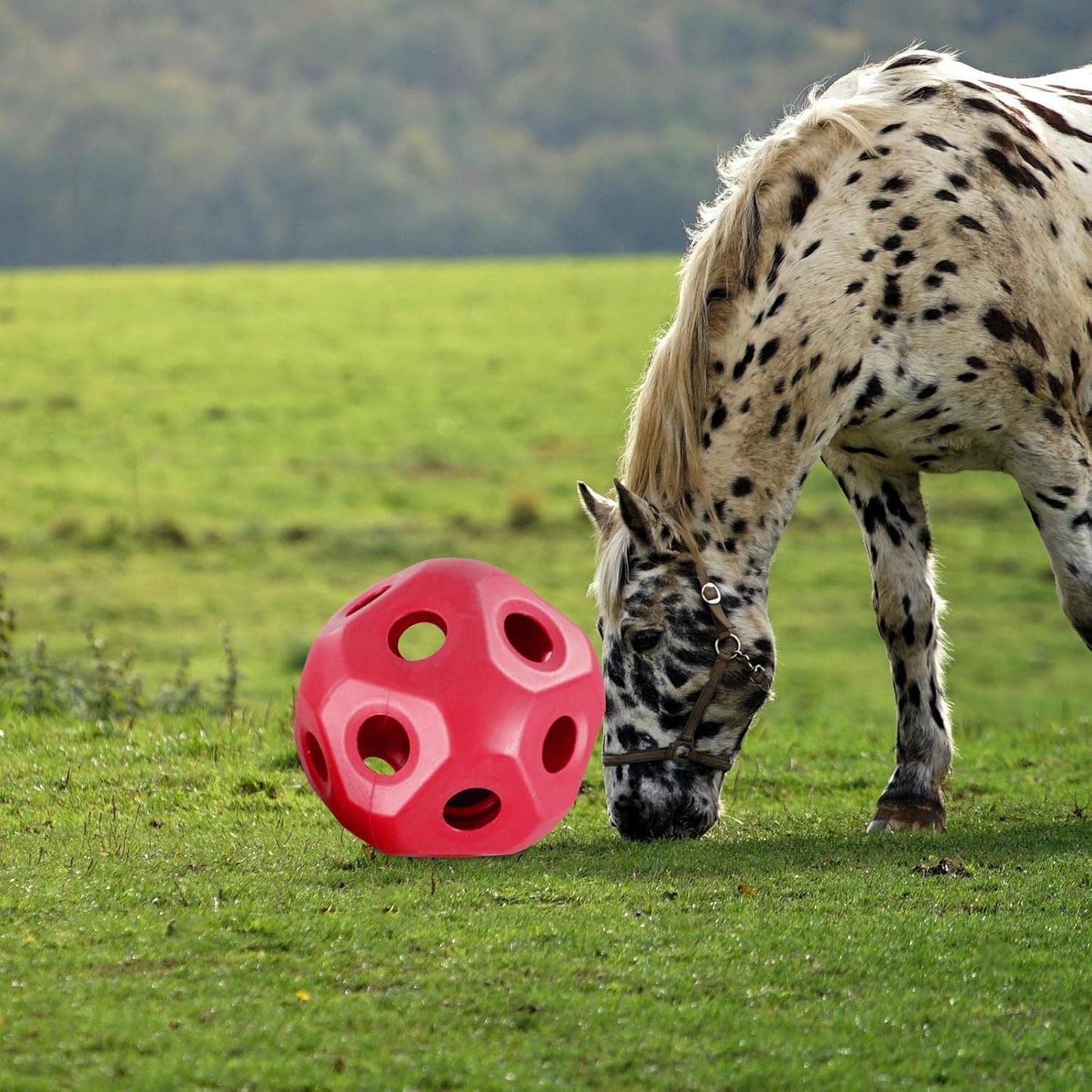 Cute 15.7" Horse Treat Ball, Carrot Feeding Toy Ball Multifunctional Hanging Treat Snack Ball for Horse Stable Stall Paddock Rest, Red