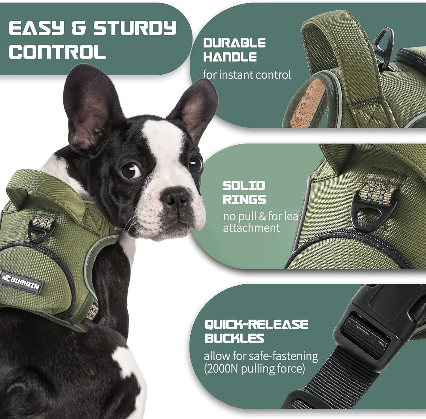 No Pull Dog Harness for Small Dogs, Adjustable No Choke Pet Vest with Dog Leash Fit Smart Reflective Pet Walking Harness for Training Easy Control Soft Handle Green S