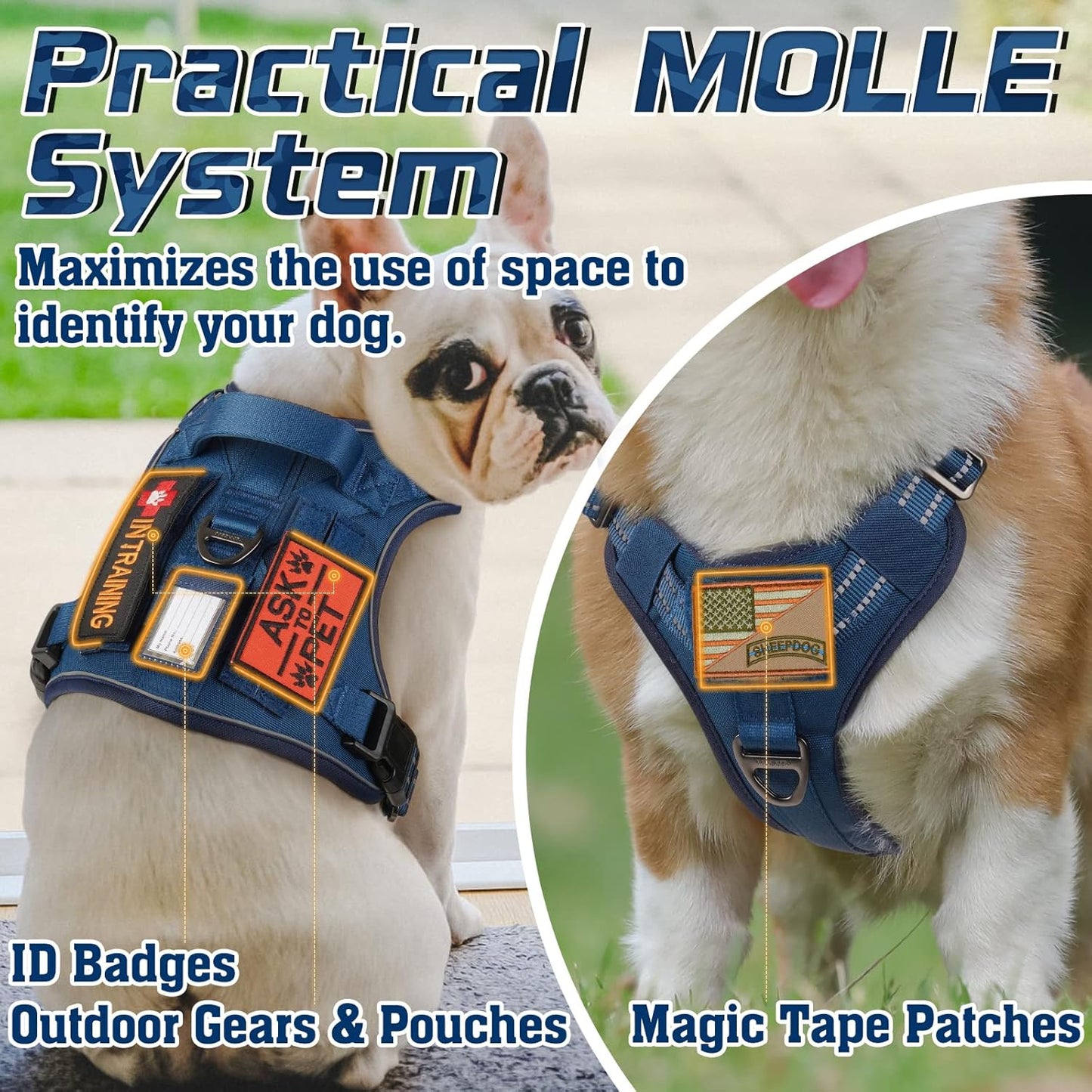 rabbitgoo Tactical Dog Harness for Small Dogs, No Pull Military Service Vest with Handle & Molle, Easy Control for Training Walking, Adjustable Reflective Straps, Blue, S