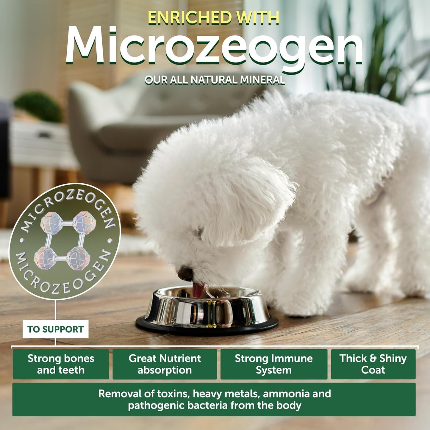 Nature's Protection Superior Care White Dogs Grain-Free Dry Dog Food - High Protein, Tear Stain Dog Food for Small & Mini Breeds Light Coated Adult Dogs, Fresh Pet Meal, White Fish, 22 lb