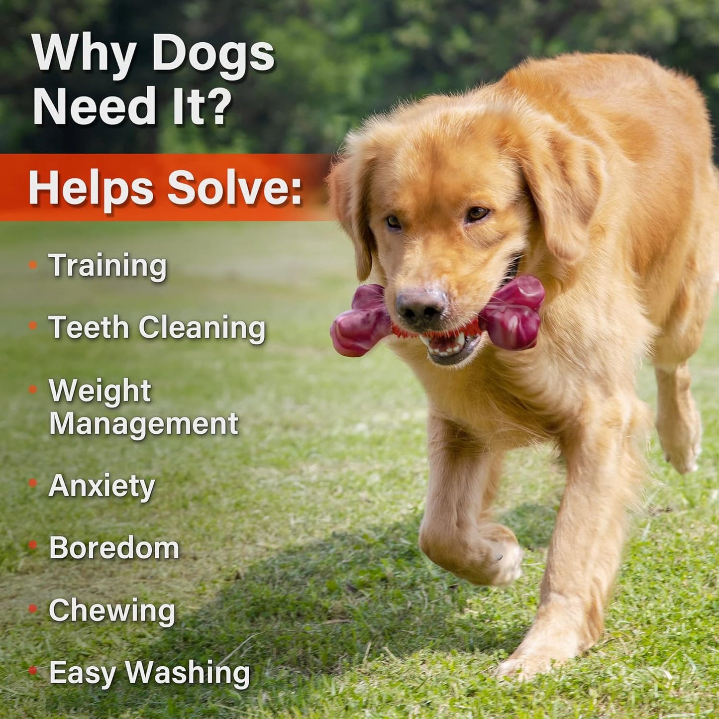 Apasiri Dog Toys for Aggressive Chewers Large Breed 2-Pack: Heavy Duty Chew Toys for Medium Dogs Indestructible Orange Dog Gift with Peanut Butter Flavor