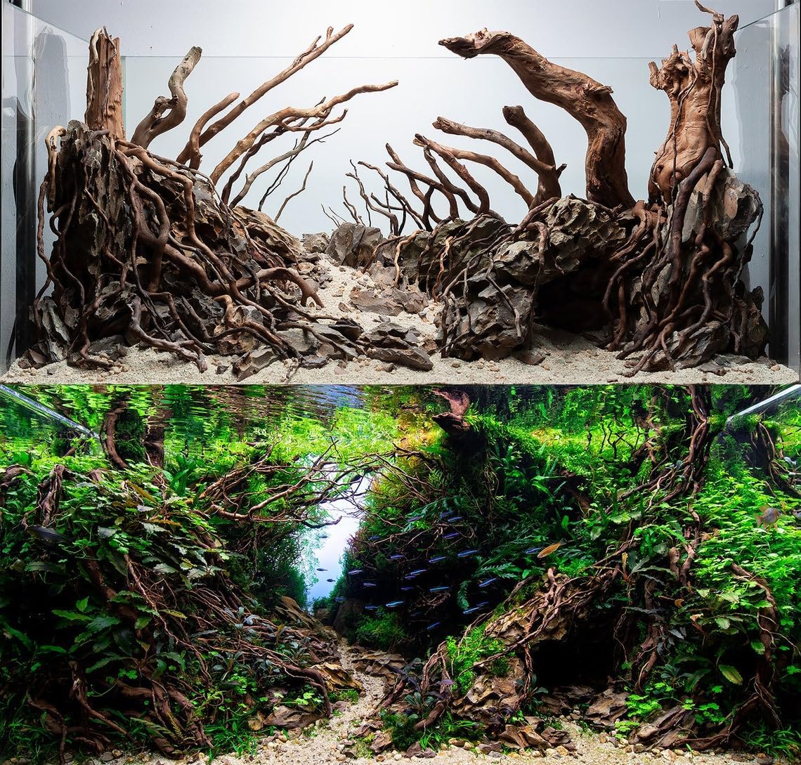 Aquarium Driftwood Roots for aquascaping - 160g Mix Natural Wood Roots for Aquarium aquascaping, aquascaper Essentials Driftwood Roots