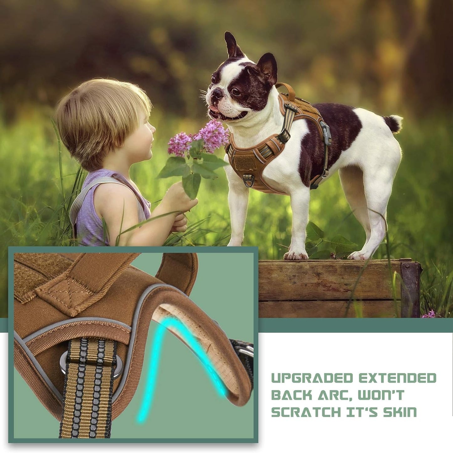 BUMBIN Tactical Dog Harness for Small Dogs No Pull, Famous TIK Tok No Pull Puppy Harness, Fit Smart Reflective Pet Walking Harness for Training, Adjustable Dog Vest Harness with Handle Brown S