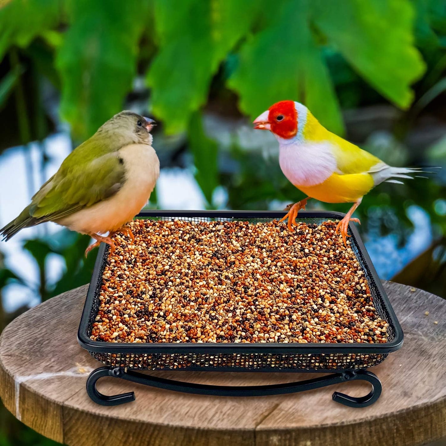 MIXXIDEA Ground Bird Feeder Tray, Metal Platform Mesh Seed Tray for Bird Feeders, Great Attracting Garden Yard Decoration for Wild Birds Squirrels Dove (1 Pack)