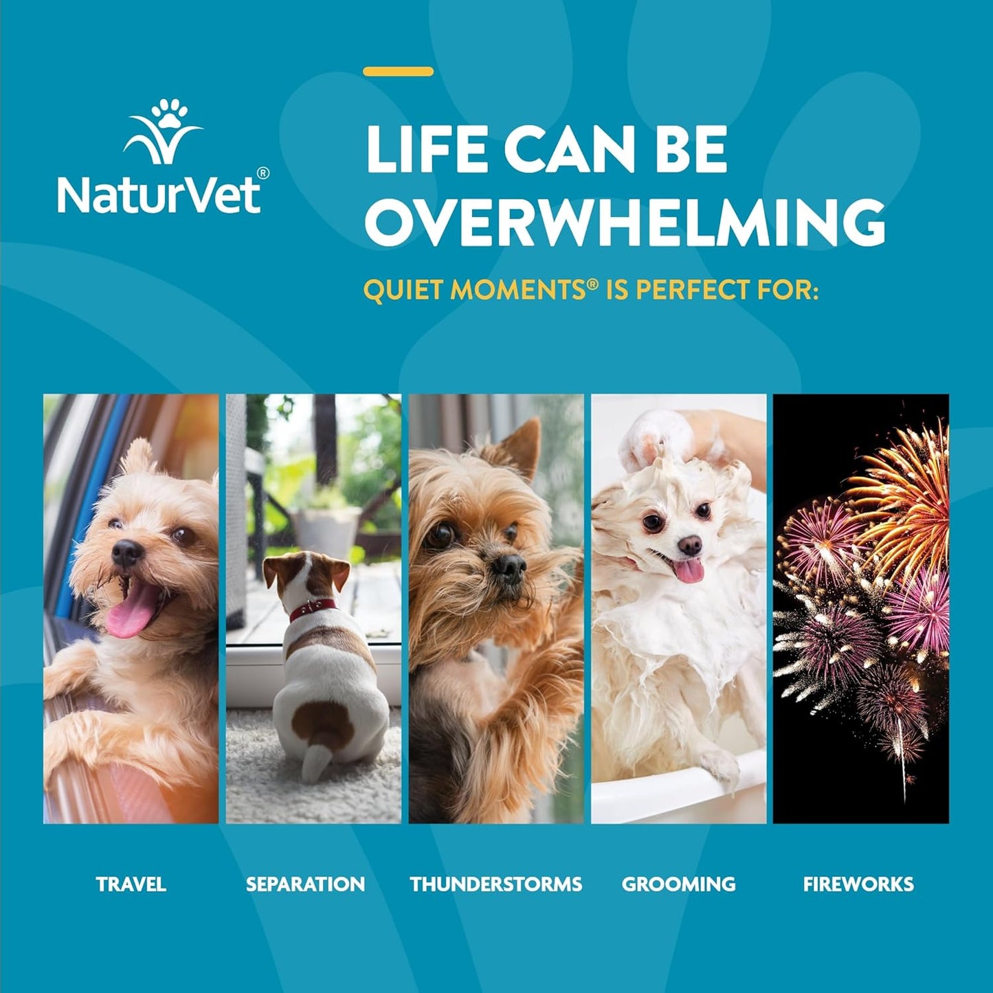 NaturVet Quiet Moments Calming Aid Dog Supplement, Helps Promote Relaxation, Reduce Stress, Storm Anxiety, Motion Sickness for Dogs (Quiet Moments Melatonin, 60 Soft Chews)