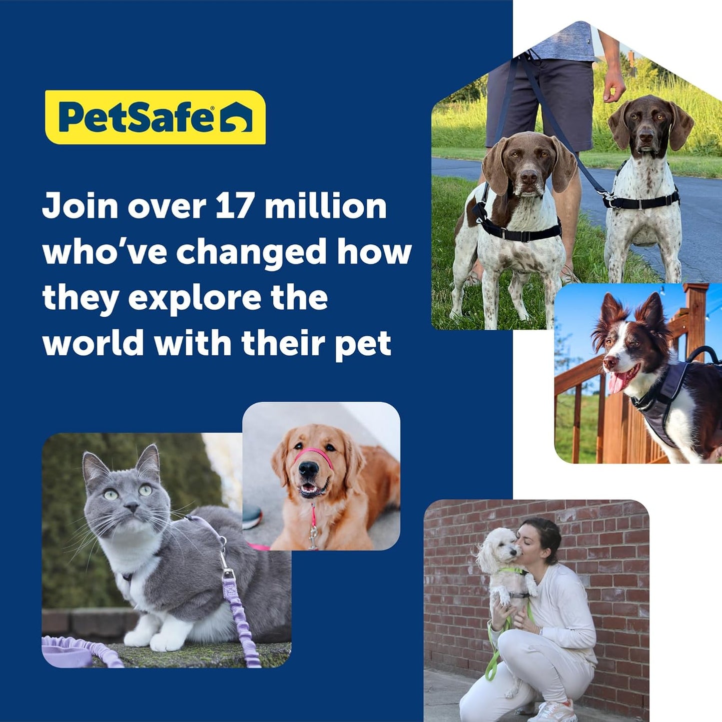 PetSafe 3 in 1 Dog Harness - No Pull Solution for Dogs - Reflective Dog Harness - Front D-Ring Clip Helps Stop Pulling - Comfortable Padded Straps - Top Handle Enhances Control - Teal - Medium