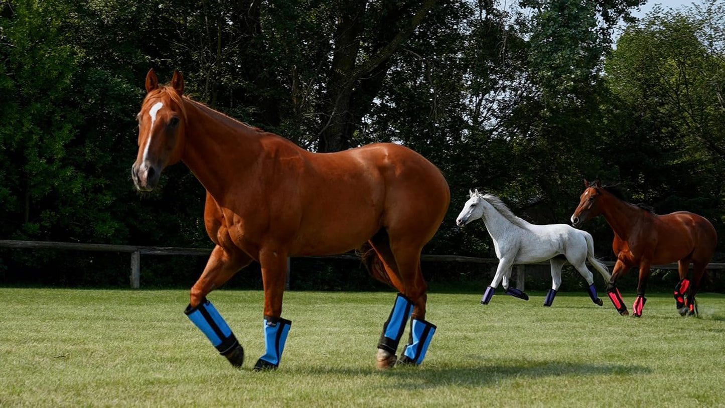 Warrior Fly Boots for Horses - Breathable Mesh Horse Boots for Fly Protection & Leg Comfort - Set of 4 (The Warrior, Purple)