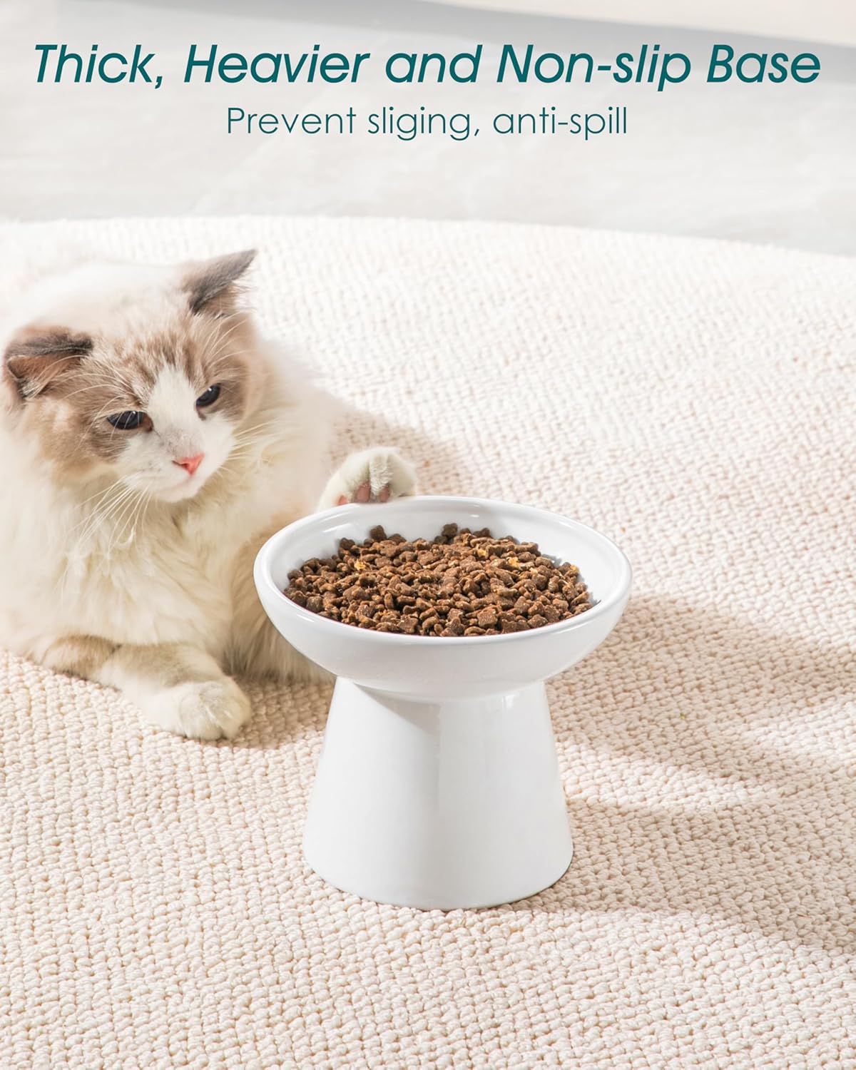vancasso Ceramic Elevated Cat Bowls 2-Pack - 6.2" Extra Wide Raised Cat Food & Water Dishes, 5.1" Optimal Height Anti-Whisker Fatigue Shallow Bowls for Cats/Kittens/Dogs, Lead & Cadmium Free (White)