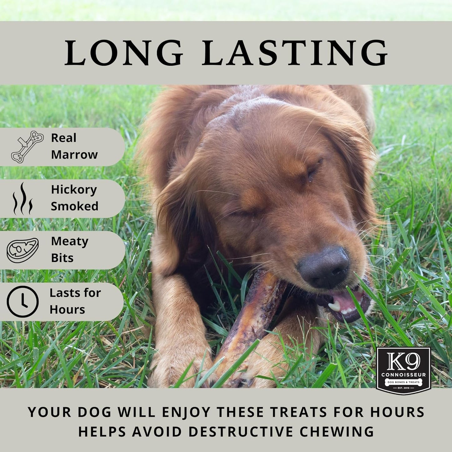 K9 Connoisseur Dog Bones Made in USA for Large Breed Aggressive Chewers All Natural Long Lasting Meaty Mammoth Marrow Filled Bone Chew Treat Best for Dogs Over 50 Pounds (4 Pack)