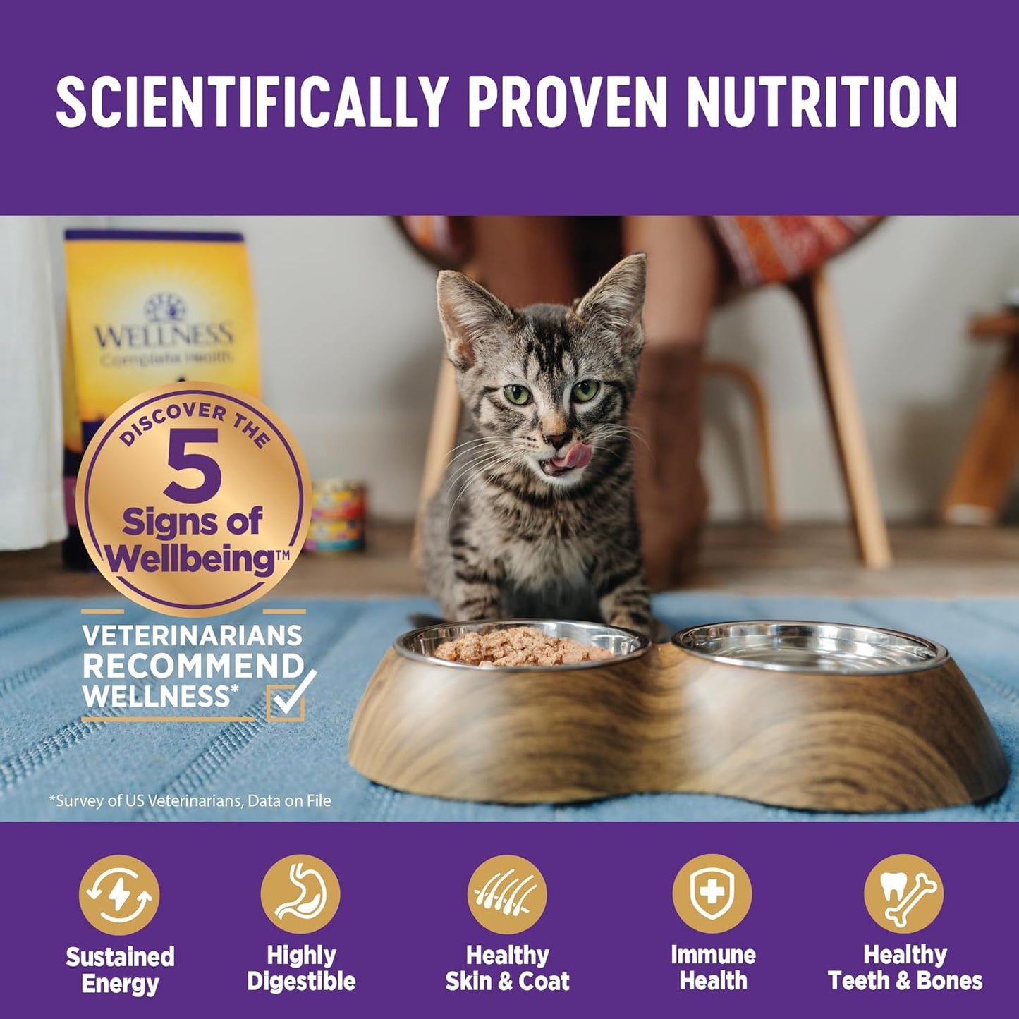 Wellness Complete Health Sliced Adult Wet Cat Food, Natural, Protein-Rich, Grain Free, 3 Ounce, 24 Pack, (Chicken Entrée)