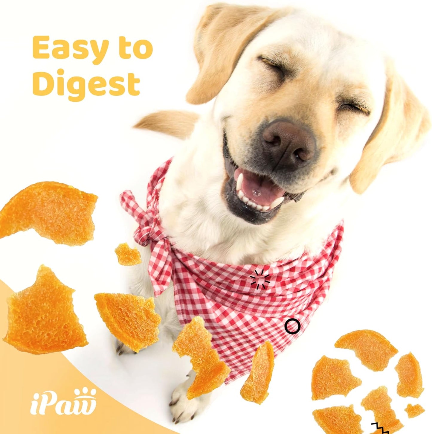 iPaw Dog Treats for Puppy Training, All Natural Human Grade Dog Treat, Hypoallergenic, Easy to Digest (Chicken Chips), 2 Packs