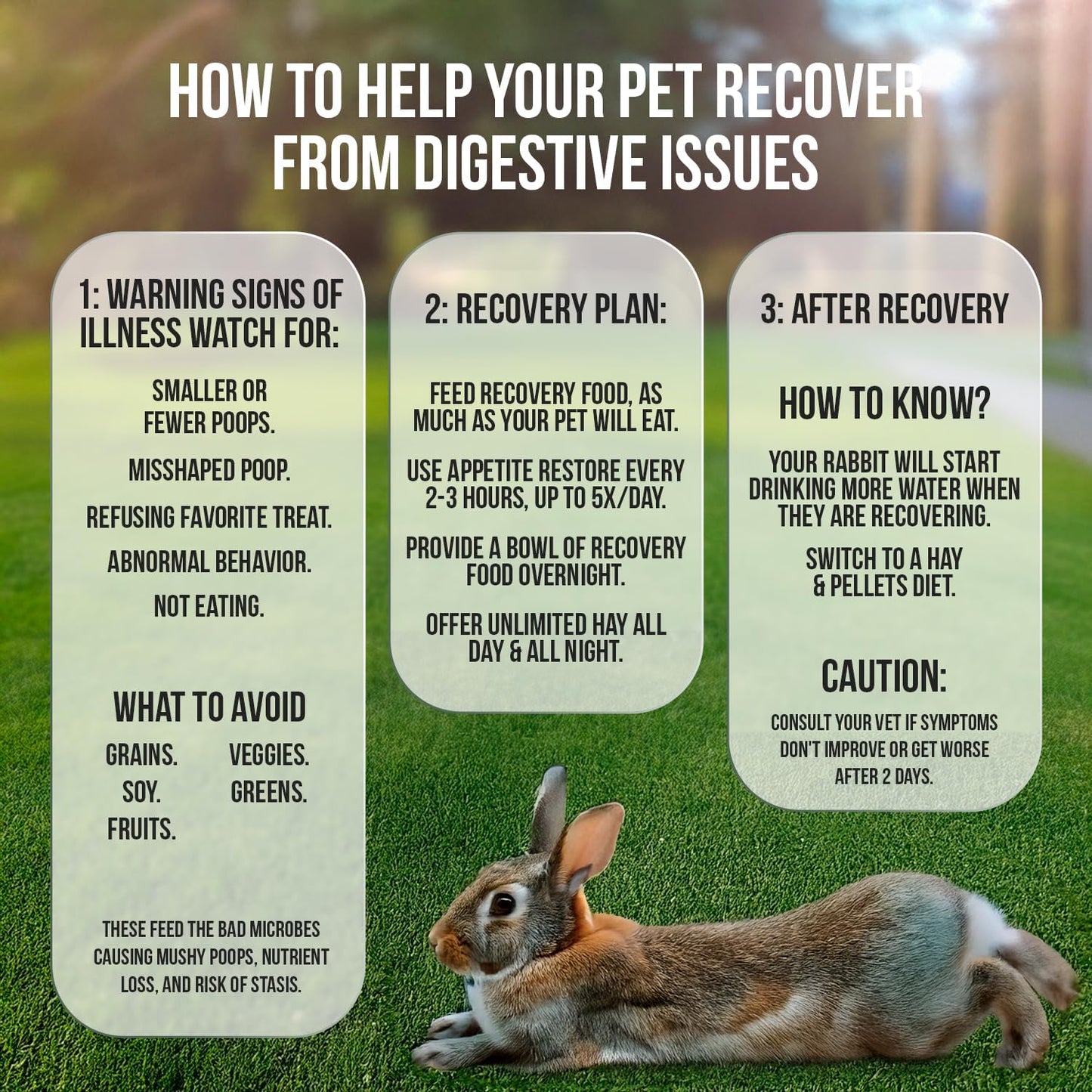 Sherwood Pet Health Rabbit Emergency kit and Bulk Recovery Food (Small kit)