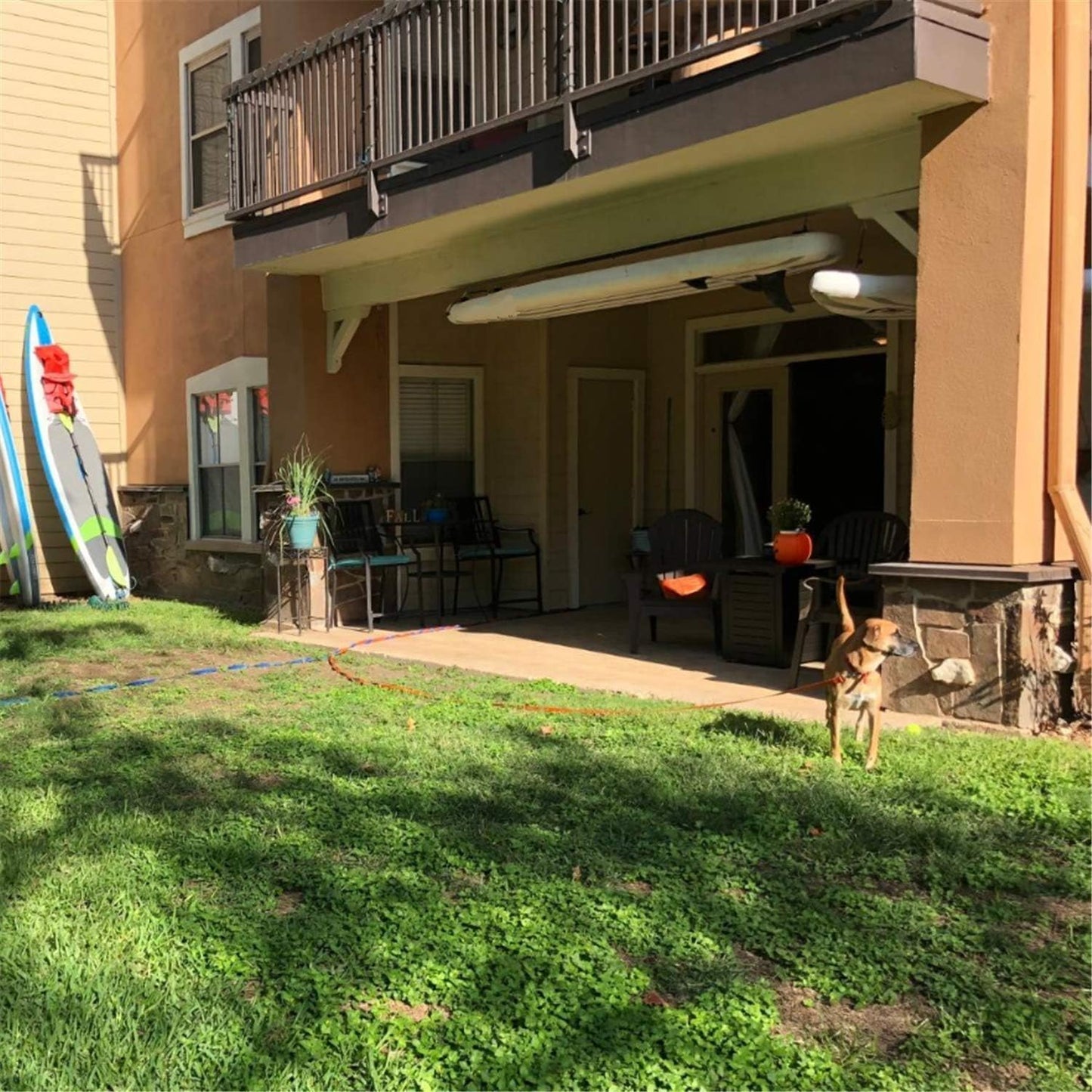 Dog/Puppy Obedience Recall Training Agility Lead -15ft 20ft 30ft 40ft 50ft Training Leash - Great for Play, Camping, or Backyard - Rainbow 15ft