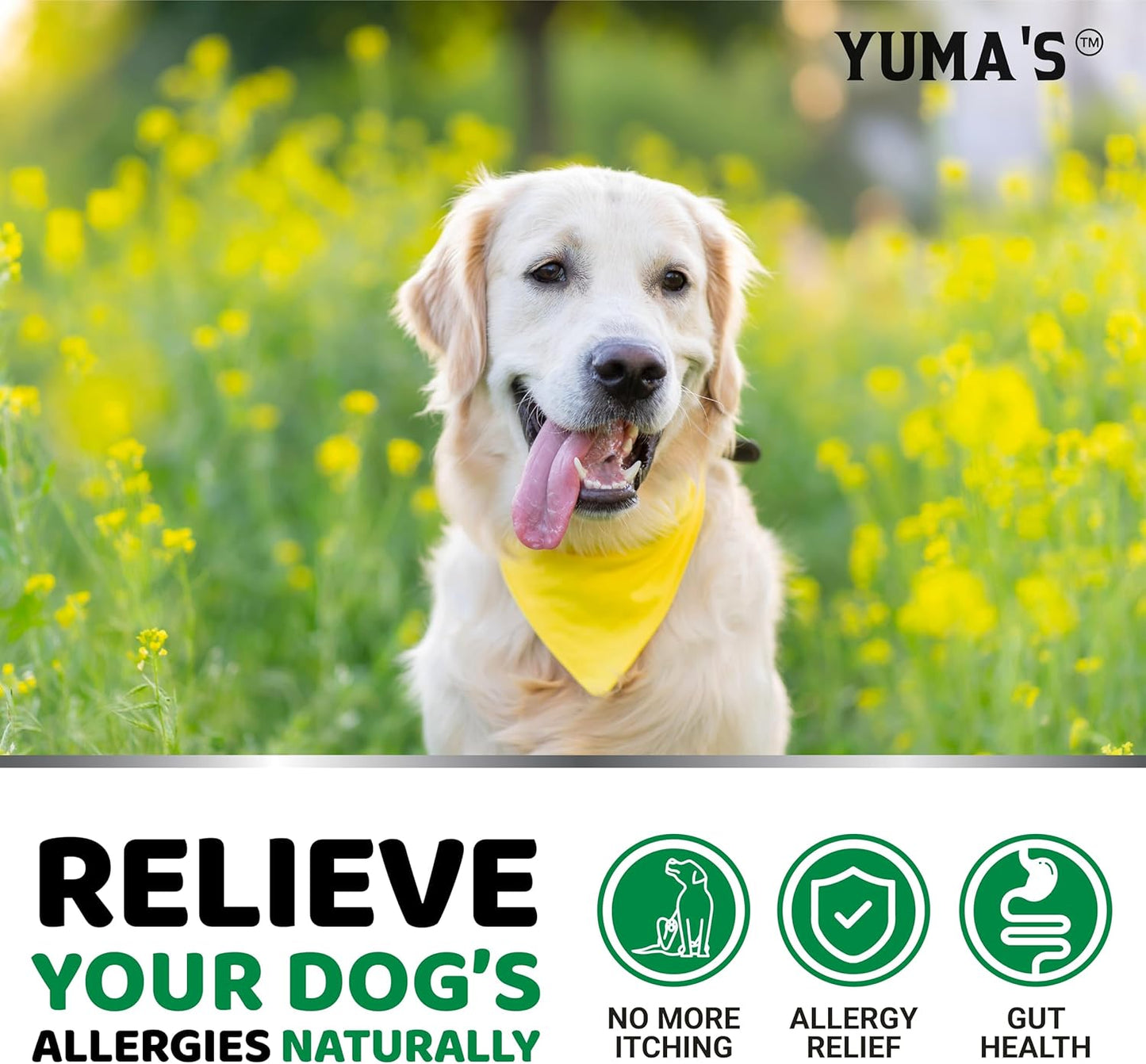 Dog Allergy Relief Chews - Dog Itching Skin Relief Treatment Pills - 170 Treats - Anti-Itch Chewables - Itchy and Paw Licking - Hot Spots - Omega 3 Fish Oil - Dry Skin & Coat Supplement