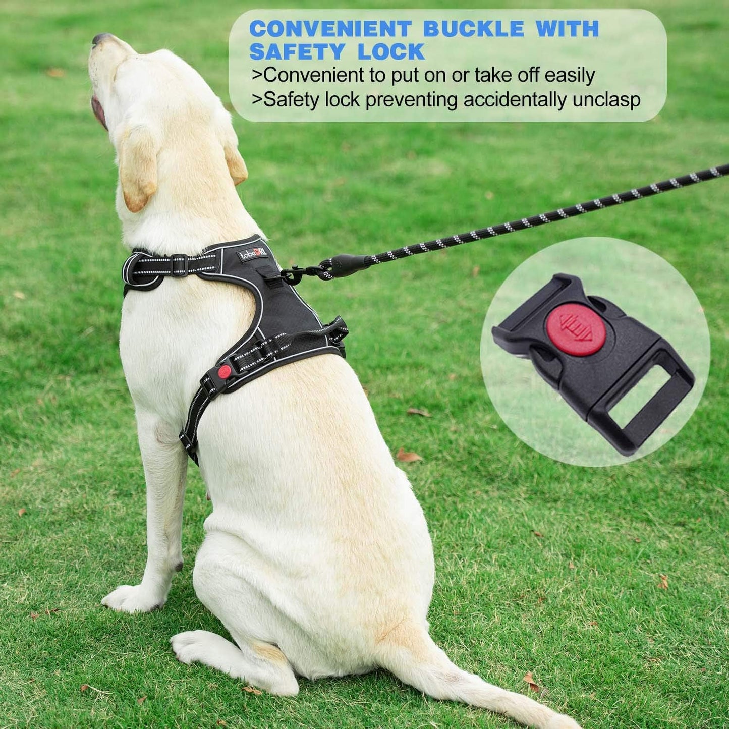 No Pull Dog Harness Adjustable Reflective Oxford Easy Control Medium Large Dog Harness with A Free Heavy Duty 5ft Dog Leash (S (Neck: 13"-18", Chest: 17.5"-22"), Pink Harness+Leash)