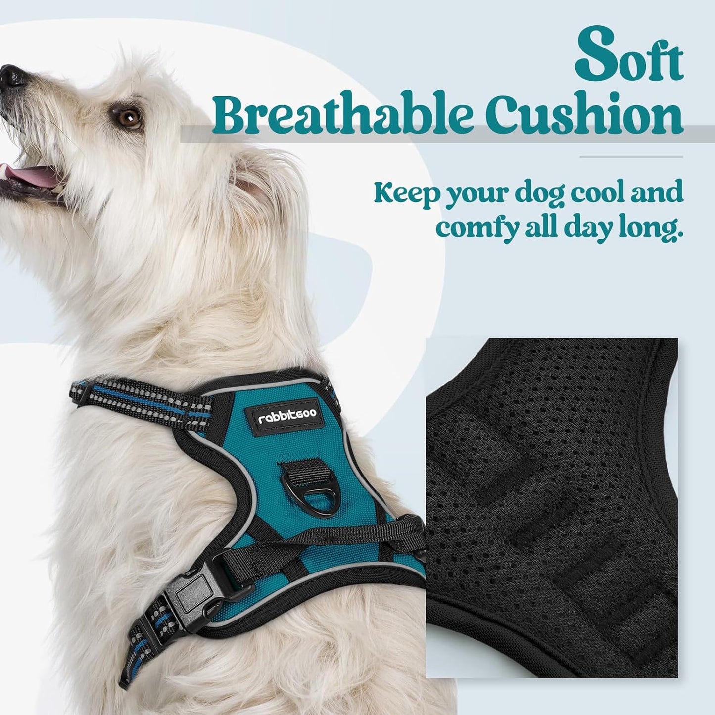 rabbitgoo Dog Harness No Pull with 2 Leash Clips, Adjustable Soft Padded, Reflective Oxford No Choke Pet Vest with Easy Control Handle for Puppy, Blue Coral, XS