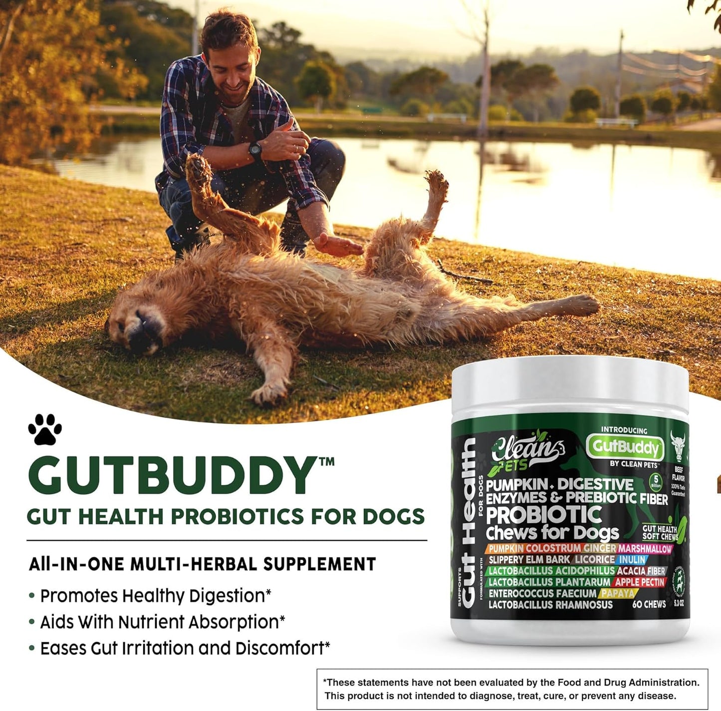 Probiotics for Dogs with Pumpkin, Colostrum, Digestive Enzymes, Ginger, Slippery Elm, Licorice, Inulin Fiber & More | Beef Flavor Soft Chews for Gut Health and Digestion Dog Supplement