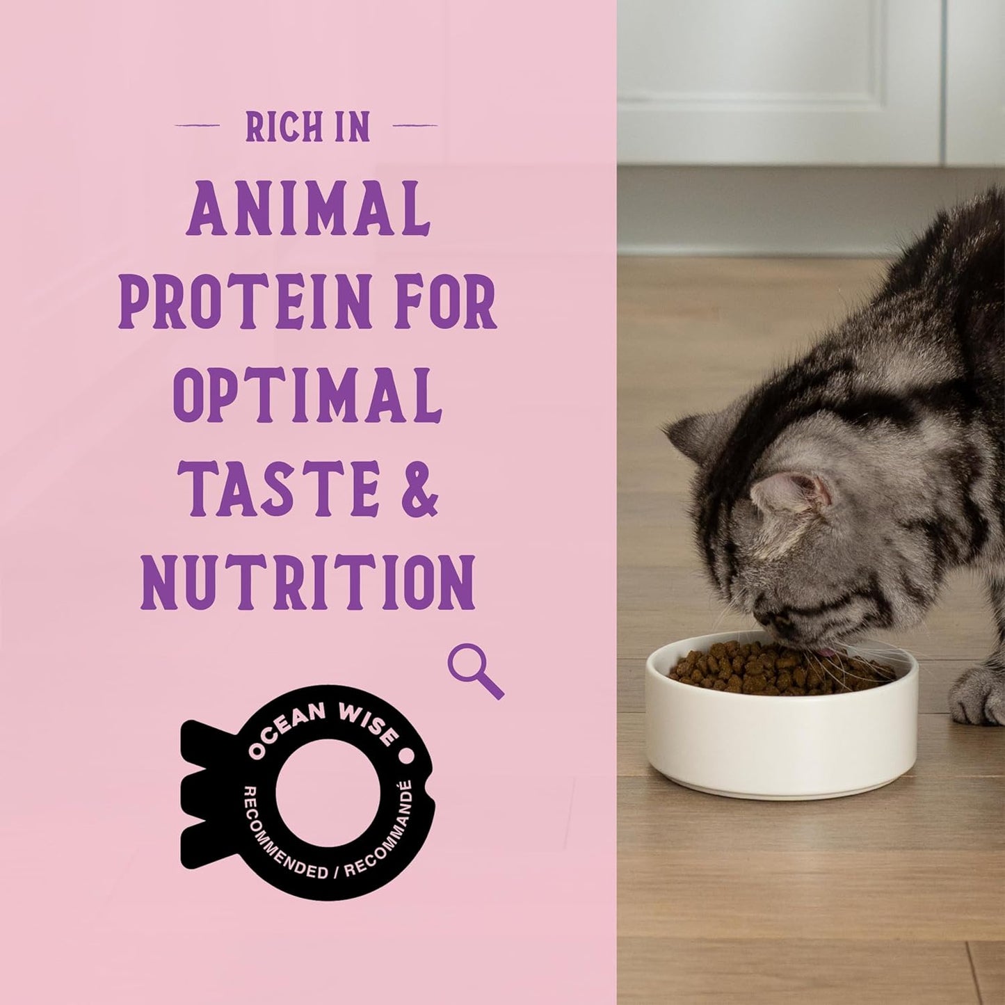 Open Farm Goodbowl, Protein Rich Dry Cat Food Made from Meticulously Sourced Simple Ingredients, Wild-Caught Salmon & Brown Rice Recipe, 7lb Bag (112oz Bag)
