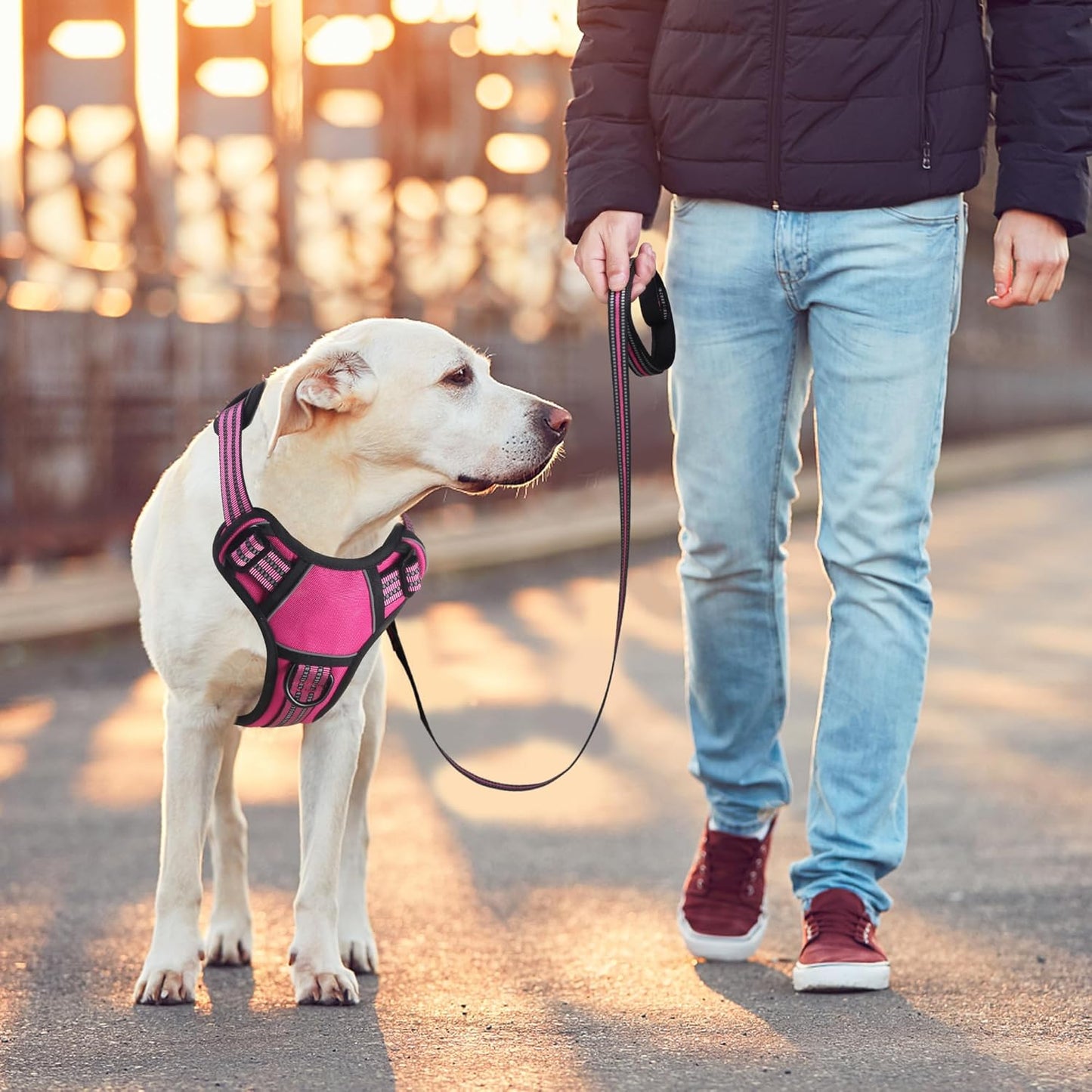 BUMBIN Dog Harness for Large Dogs, No Pull Adjustable No Choke Pet Vest with Dog Leash Fit Smart Reflective Pet Walking Harness for Training Easy Control Soft Handle Rose Red S