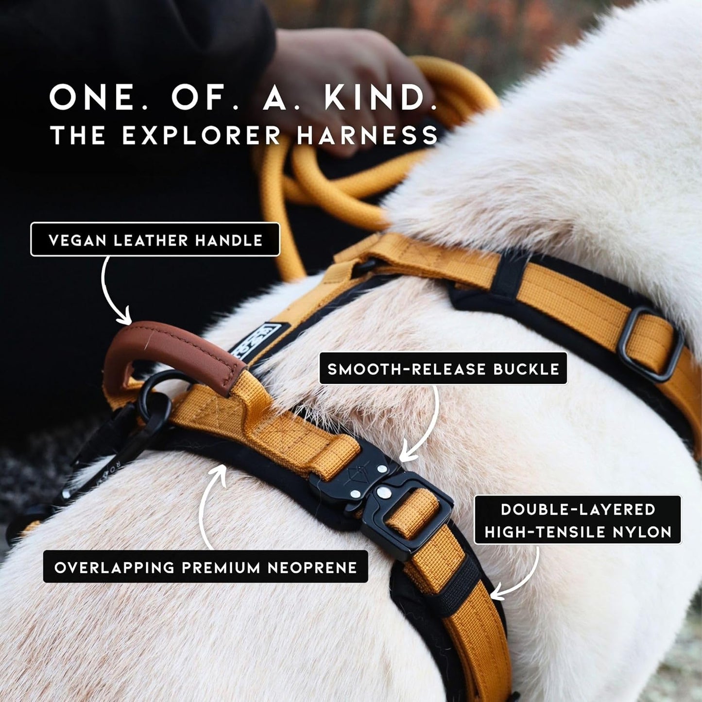 MADE TO ROAM Premium Explorer Harness - Y-Shaped Dog Harness with Adjustable Durable Nylon, Soft Padding, Metal Buckles and Leather Handle for Small, Medium, Large Dogs (Utah Glow, Size 5)