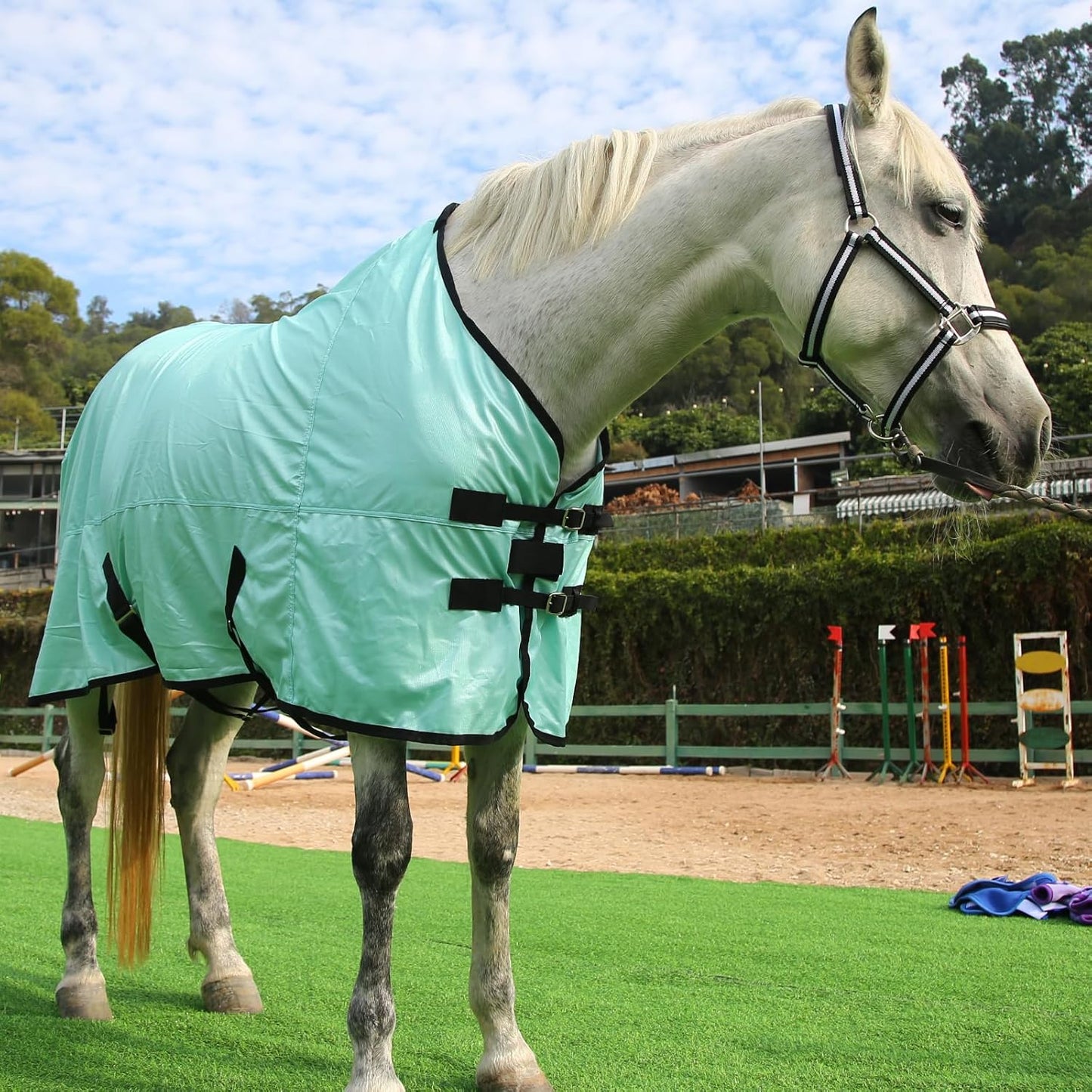 Horse Fly Sheet, Standard Neck Comfy Mesh Fly Sheet for Horses, Equine Summer Sheets UV-Protective Green 84