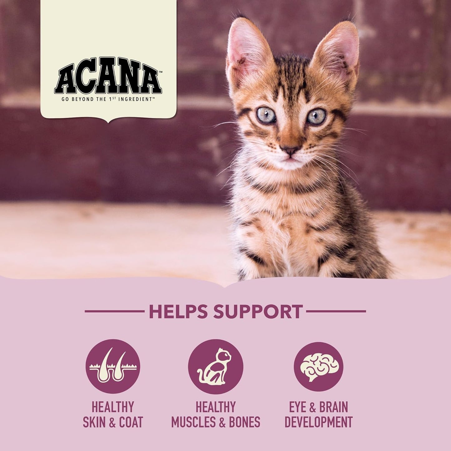 ACANA Dry Cat Food for Kittens, First Feast, Free Run Chicken and Whole Herring, 4lb