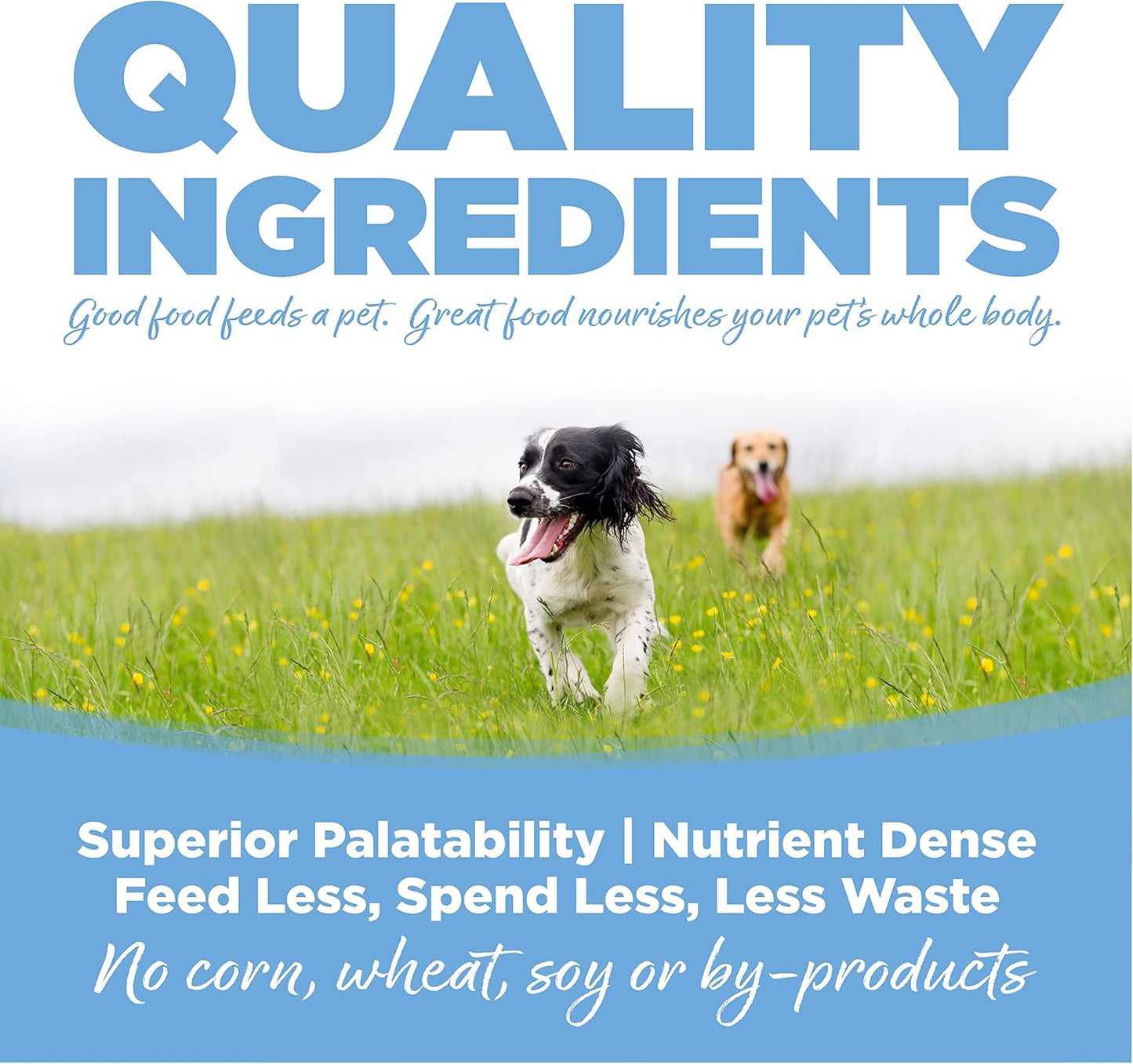 NutriSource Dog Food, Made with Trout and Rice, Large Breed, with Wholesome Grains, 30LB, Dry Dog Food
