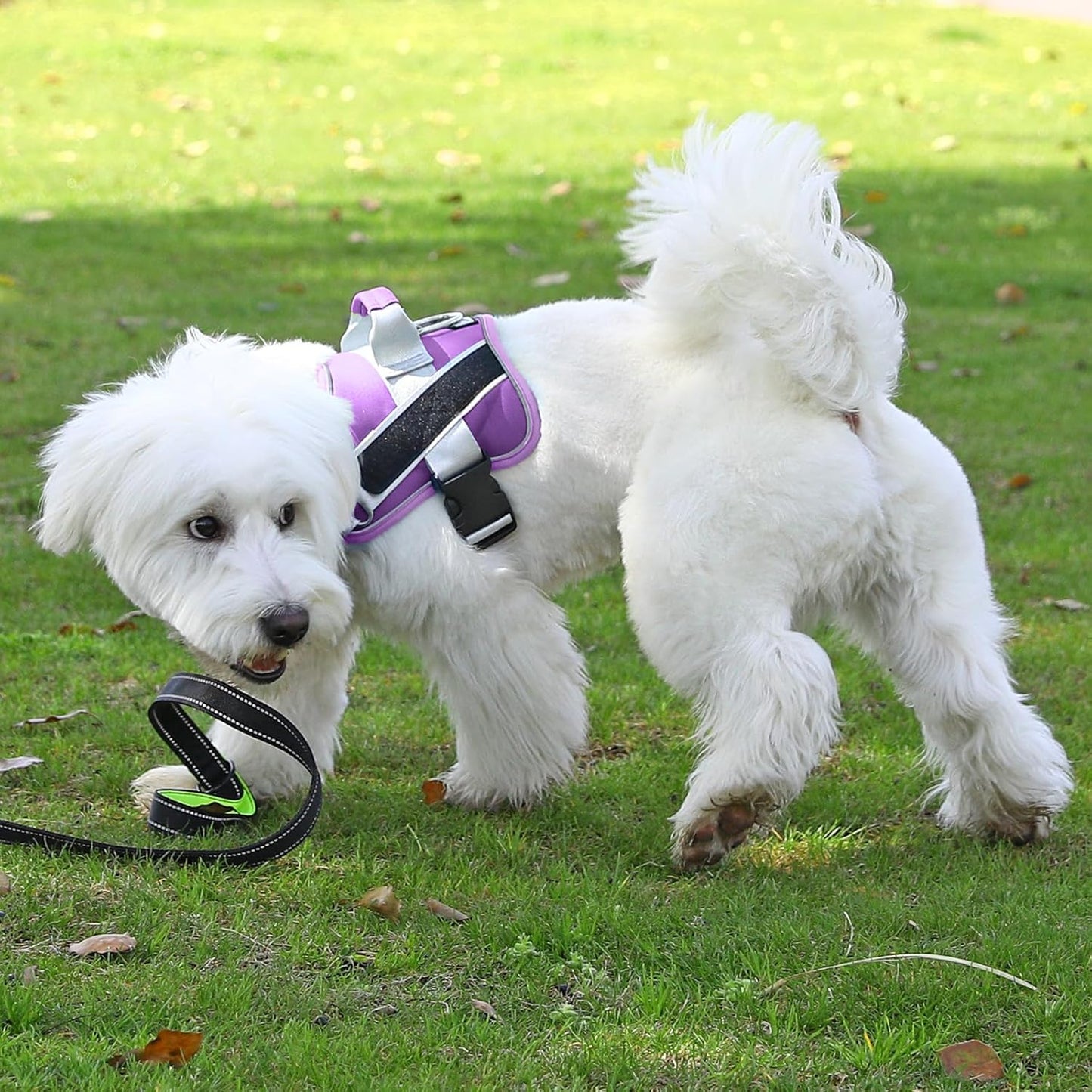 Bolux Dog Harness, No-Pull Reflective Dog Vest, Breathable Adjustable Pet Harness with Handle for Outdoor Walking - No More Pulling, Tugging or Choking (Lavender, Large (Pack of 1))