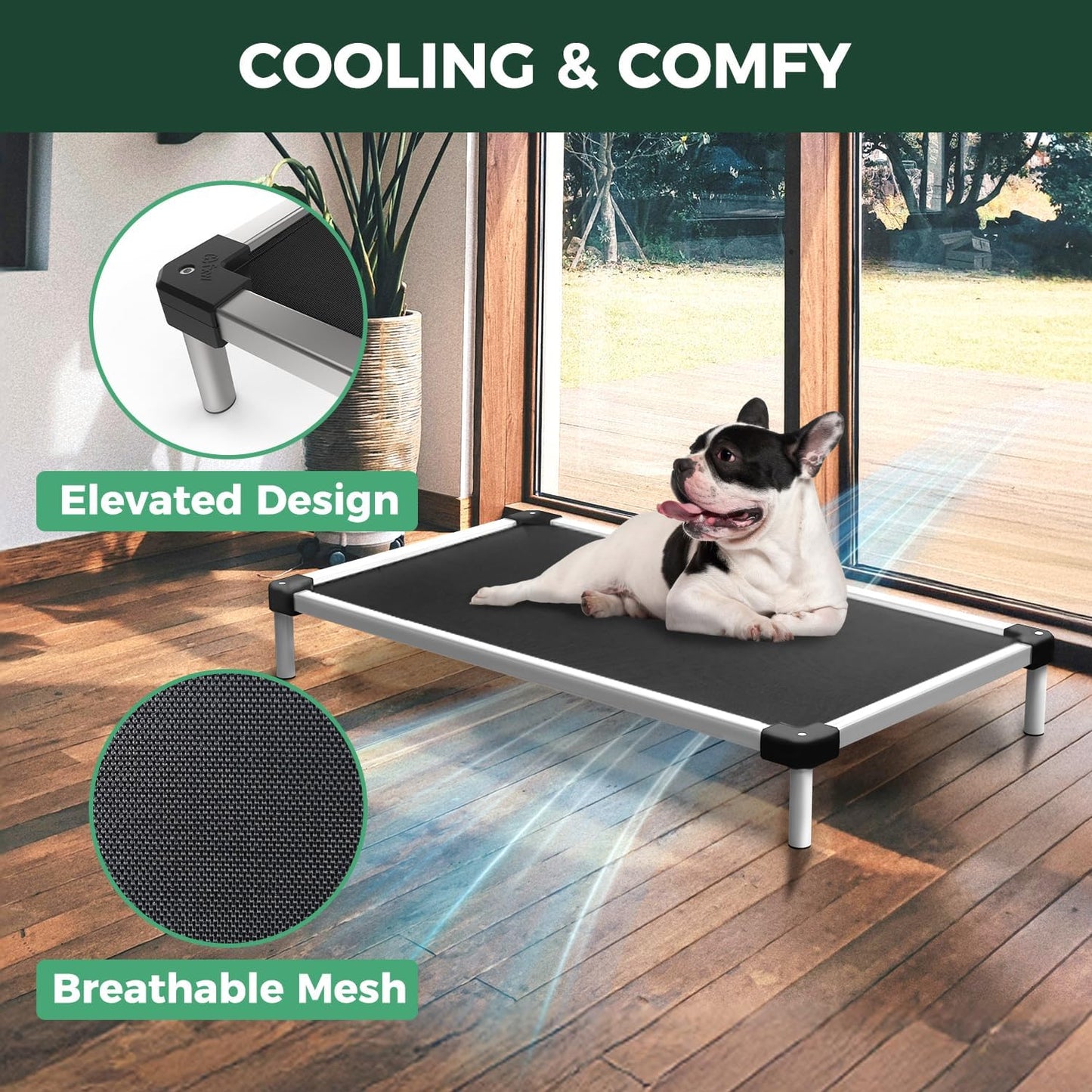FXW TitanNest Chew-Proof Elevated Dog Bed, Raised Cot for Indoor/Outdoor/Camping Use, Durable & Waterproof Cooling Pet Bed for Toy Dogs, 24.0" L x 20.0" W x 4.1" H, Black