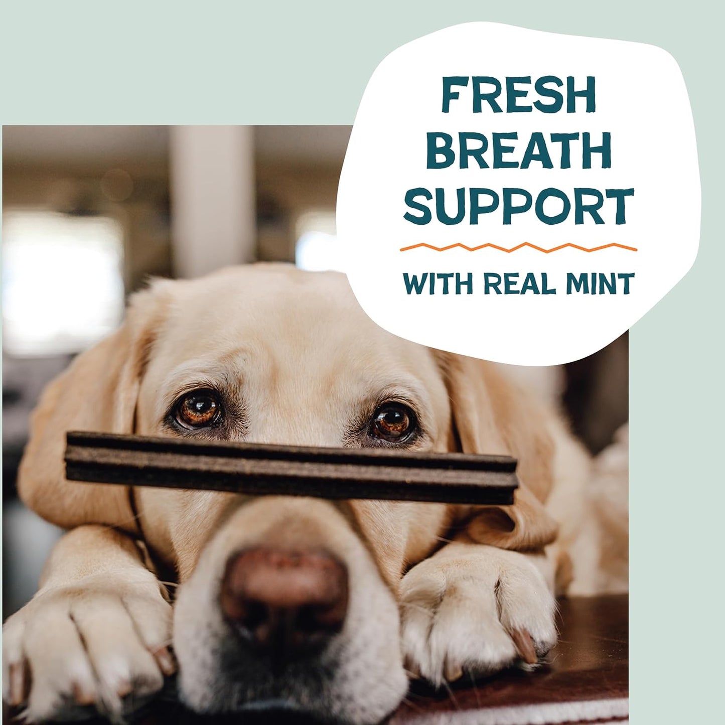 Shameless Pets Dental Treats for Dogs, Carrate Chomp (32 Sticks) - Supports Skin & Coat for Teeth Cleaning & Fresh Breath - Dog Bones Dental Chews Free from Grain, Corn & Soy