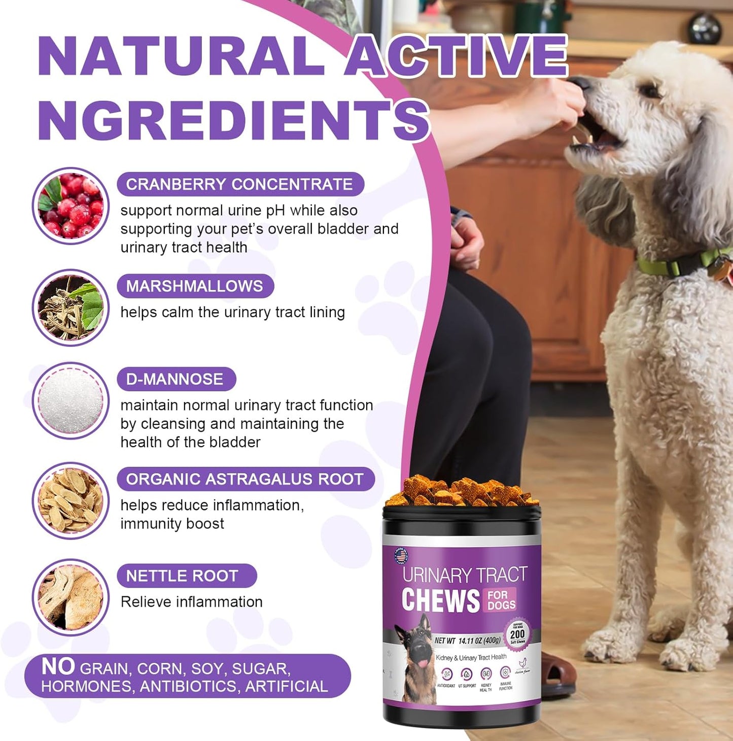 Dog UTI Treatment Cranberry Supplement for Dogs 200 Chews Urinary Tract Medicine Bladder Control Pills Kidney Support Cranberrys Extract Bites Puppy UTI Infection Treats Incontinence Remedy for Dogs