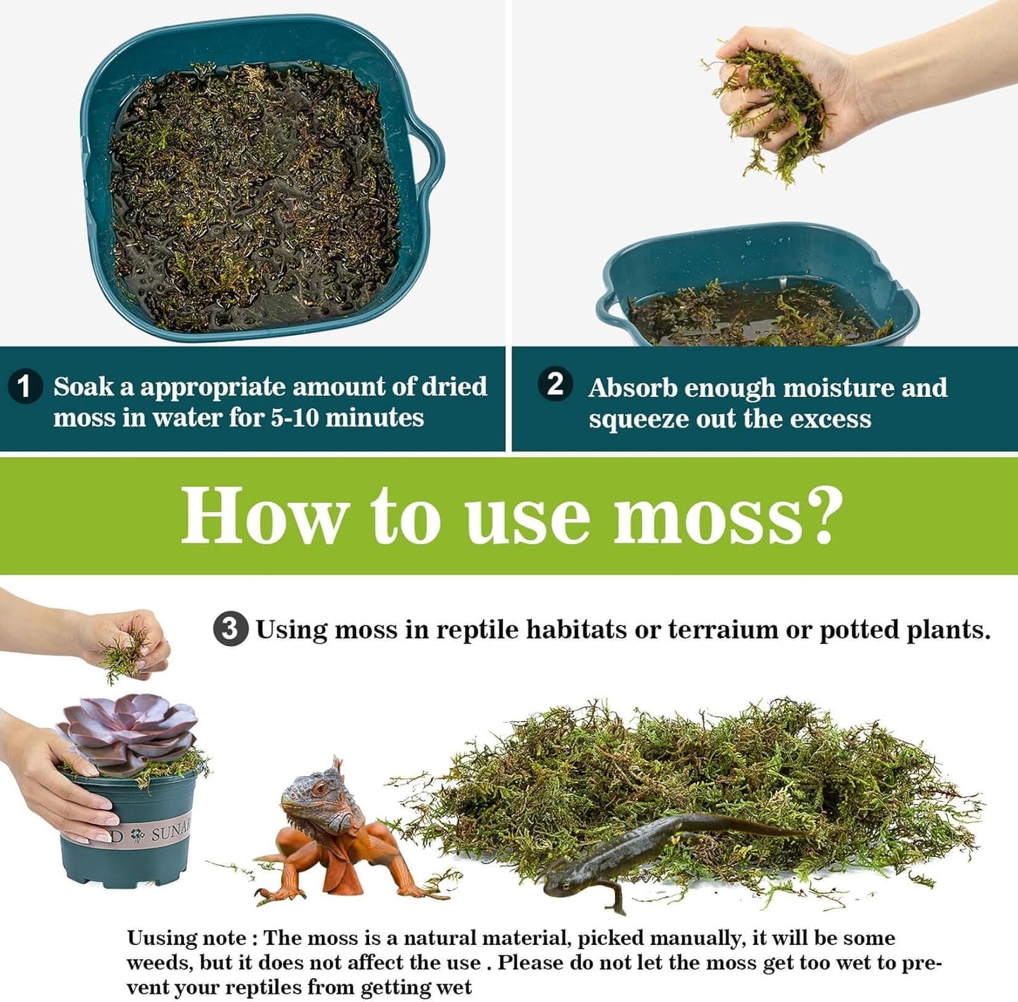 Sukh Sphagnum Moss for Reptiles -Terrarium Moss for Reptiles Peat Moss for Reptiles Habitat Bedding Moss for Snakes Turtle Frog Gecko and Other Reptiles Substrate (15.8, Ounces)