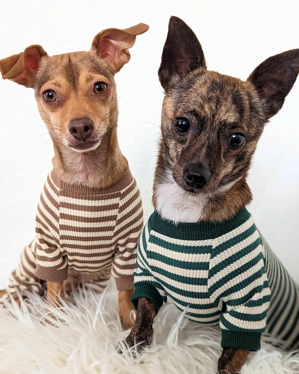 Fitwarm Green and White Striped Dog Pajamas, Waffle Dog Clothes for Small Dogs Girl Boy, Puppy Onesie with Feet, Pet Cat Outfit, XL