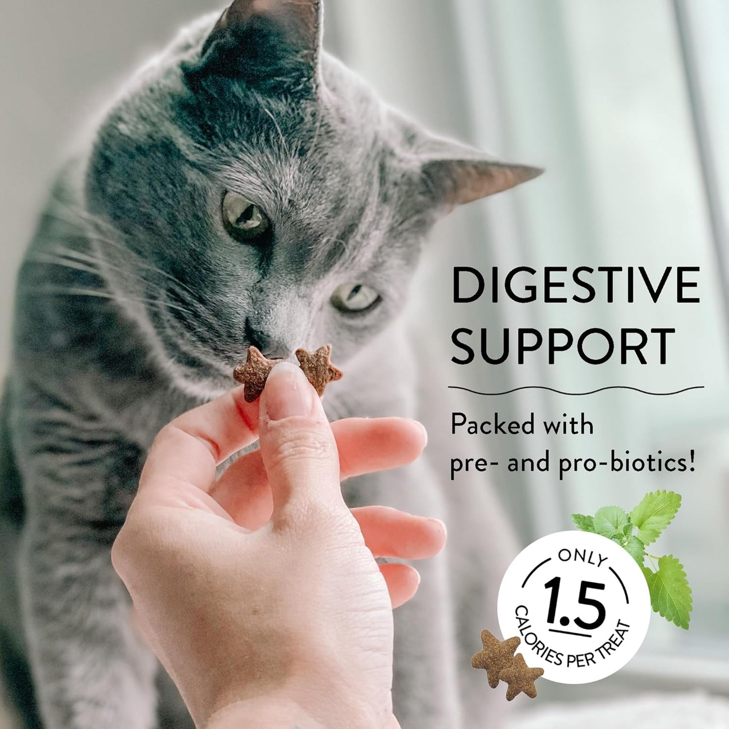 Shameless Pets Celebration Birthday Crunchy Cat Treats Chicken and Catnip Treats with Digestive Support