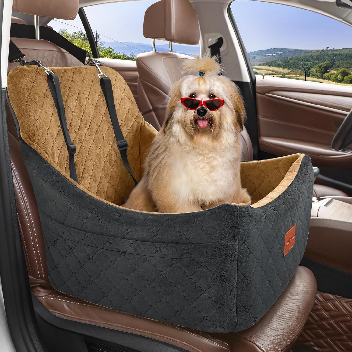 Dog Booster Car Seat for Up to 35lbs Pets,Easy to Install,Fully Detachable and Washable,Anti-Slip Base,Snug Puppy Car Seat with 2 Clip-On Leashes(Black/Coffee,Medium)