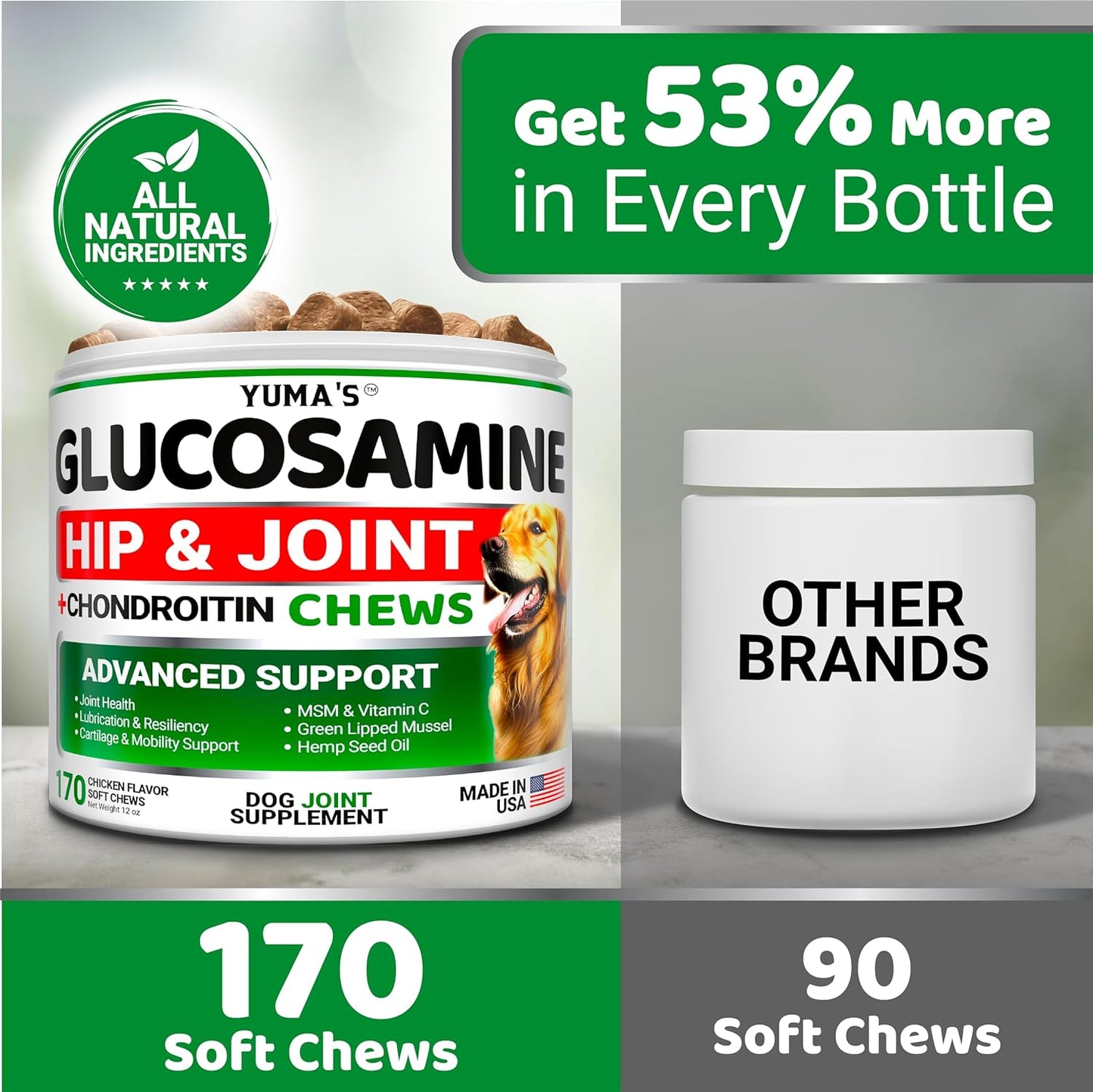 YUMA'S Glucosamine for Dogs - Hip and Joint Supplement for Dogs - 170 Ct - Glucosamine Chondroitin Chews - Joint Pain Relief Supplement with MSM - Advanced Health - Mobility Support - Made in USA