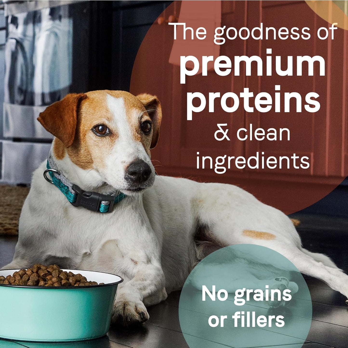 Canidae Pure Limited Ingredient Premium Adult Dry Dog Food, Real Lamb & Sweet Potato Recipe, 4 lbs, Grain Free
