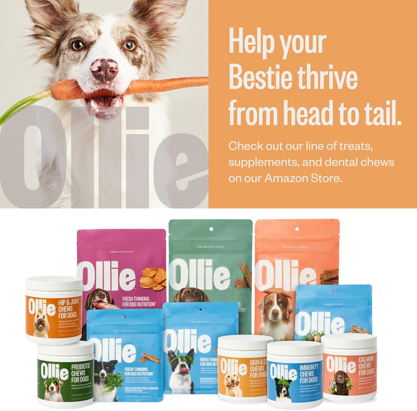 Ollie Dog Skin & Coat Supplement, Soothes Irritated Skin, Promotes Healthy & Shiny Fur & Coat, 60 Count Appx.