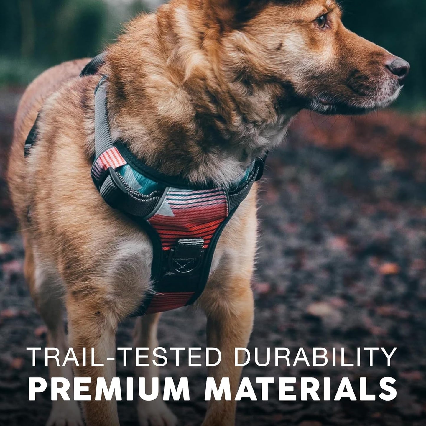 Embark Adventure Dog Harness, Reflective Trim No Pull Dog Harness for Large Dogs - Military Grade Nylon, Front Clip with Gel Lined Handle.