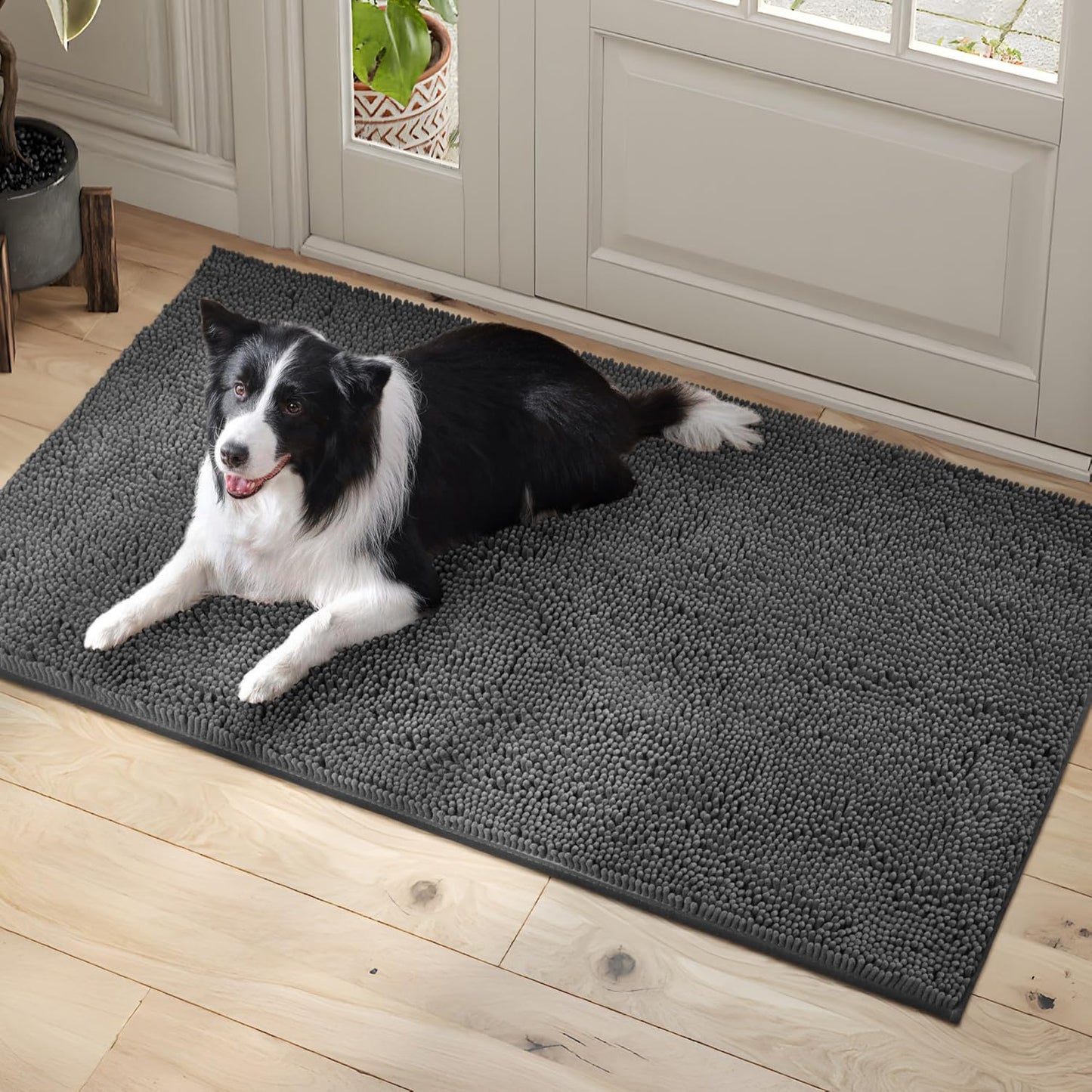 Dog Door Mat Indoor Entrance, 60" x 30" Absorbent Quick-Drying Mud Rugs, Non-Slip Door Rugs for Entryway Indoor Washable, Soft Chenille Dog Mat for Muddy Paws