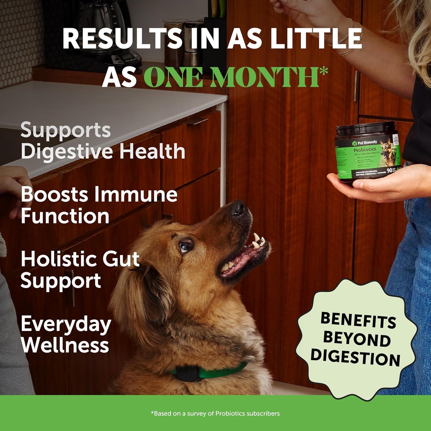 Pet Honesty Probiotics for Dogs for Occasional Diarrhea & Bowel Support, Digestive Enzymes with Prebiotics for Gut Health for Dogs, Immunity Health & Itch Relief (Duck 90 ct)