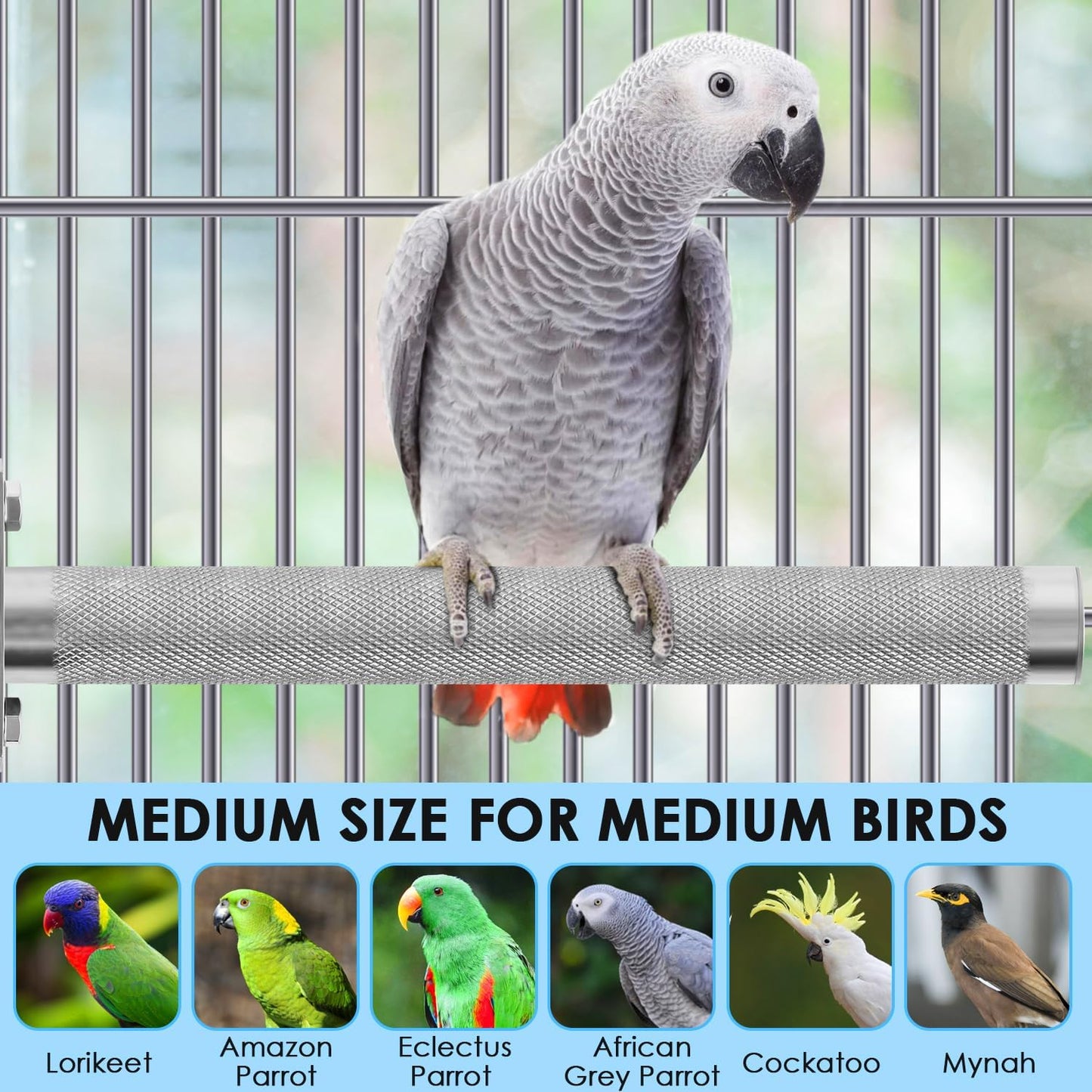 KATUMO Bird Perch - Stainless Steel - Rough Surface Stand for Small to Medium Parrots (9.8 x 1.0 inch)